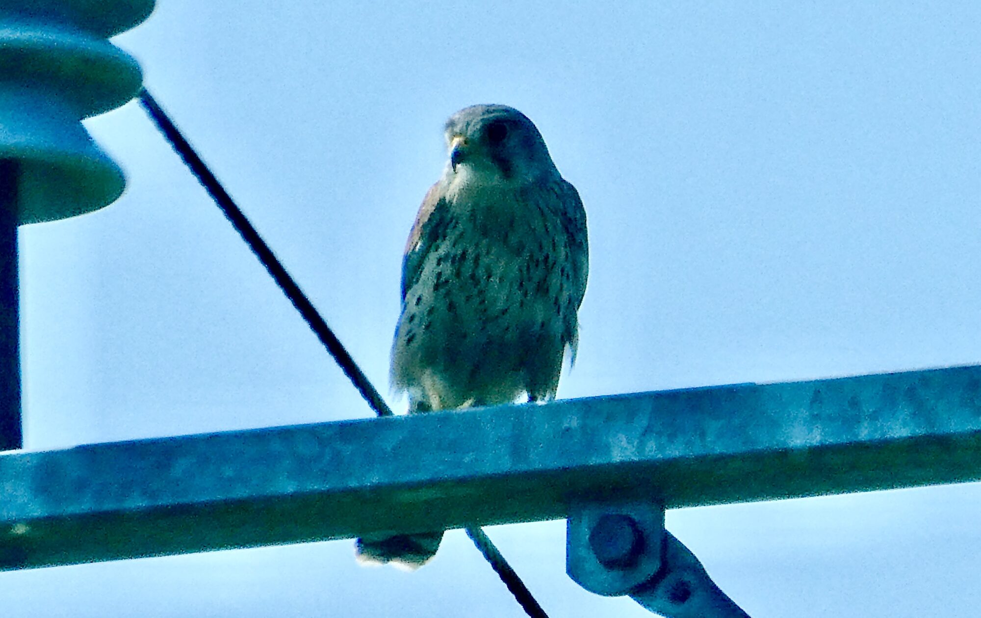 Valokuvaaja: Liisa Niiva-Korpela Valokuvaaja: Liisa Niiva-Korpela