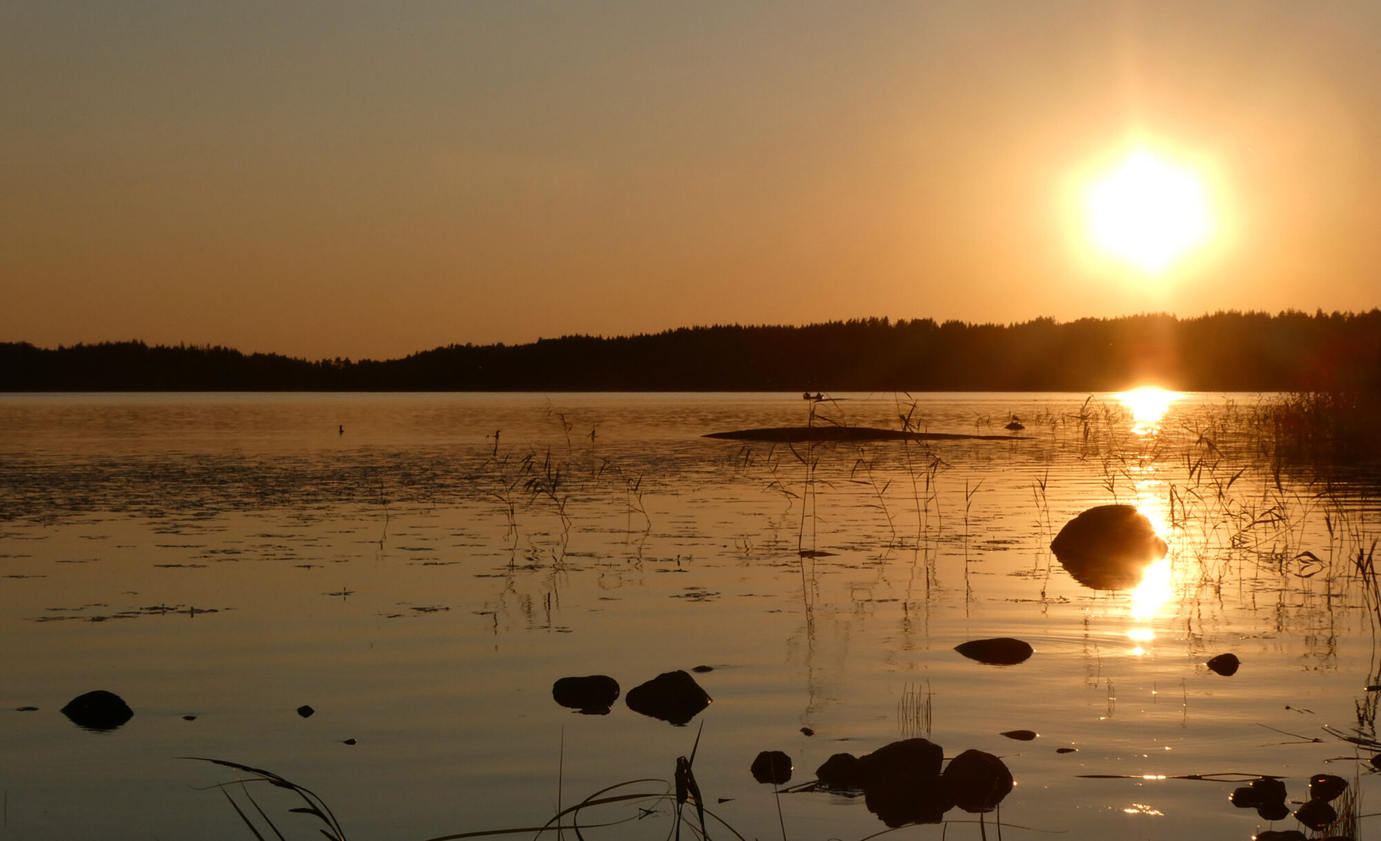 Valokuvaaja: Liisa Niiva-Korpela Valokuvaaja: Liisa Niiva-Korpela