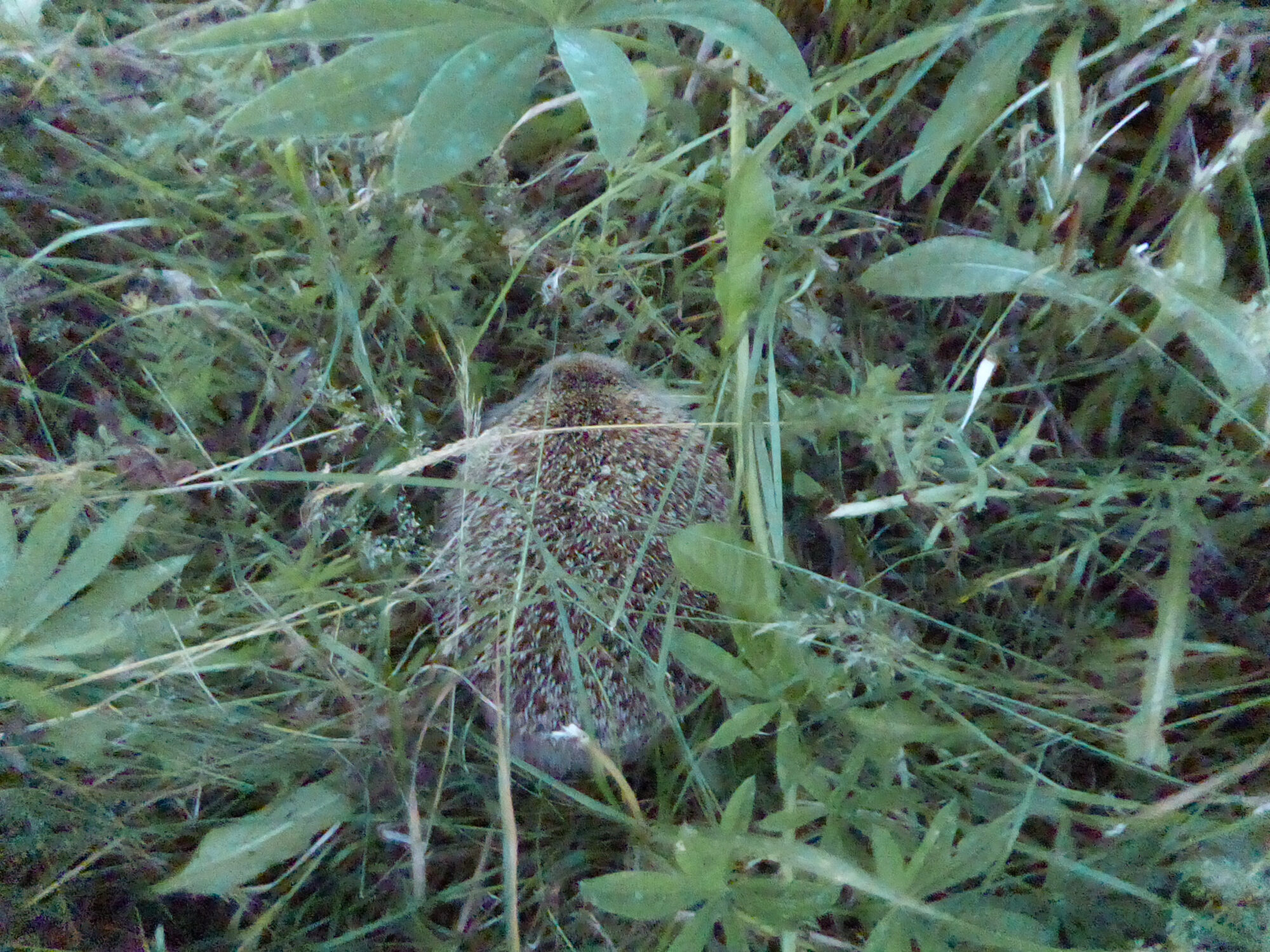 Valokuvaaja: Toni Asikainen