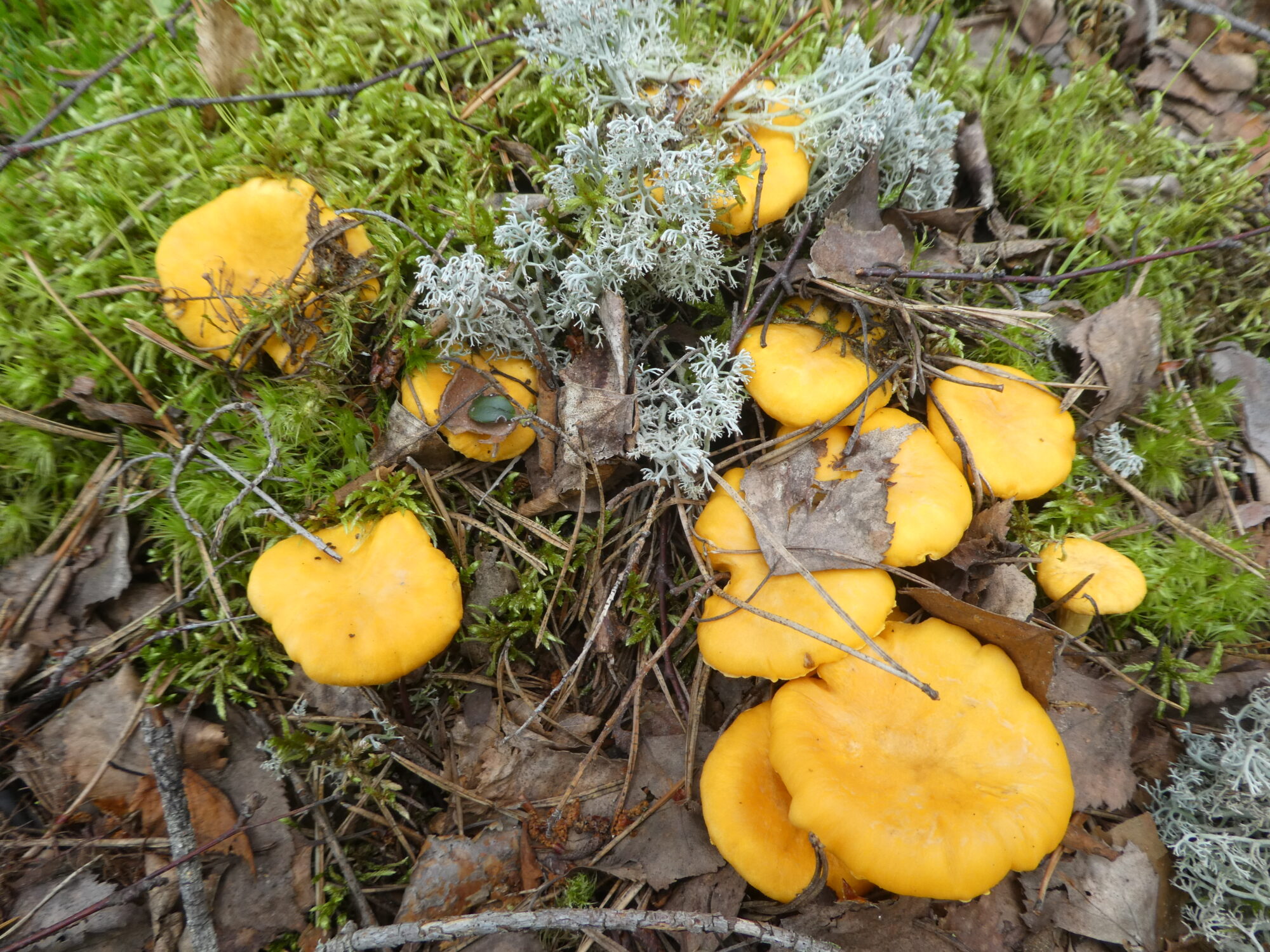 Valokuvaaja: Anja Mustamaa