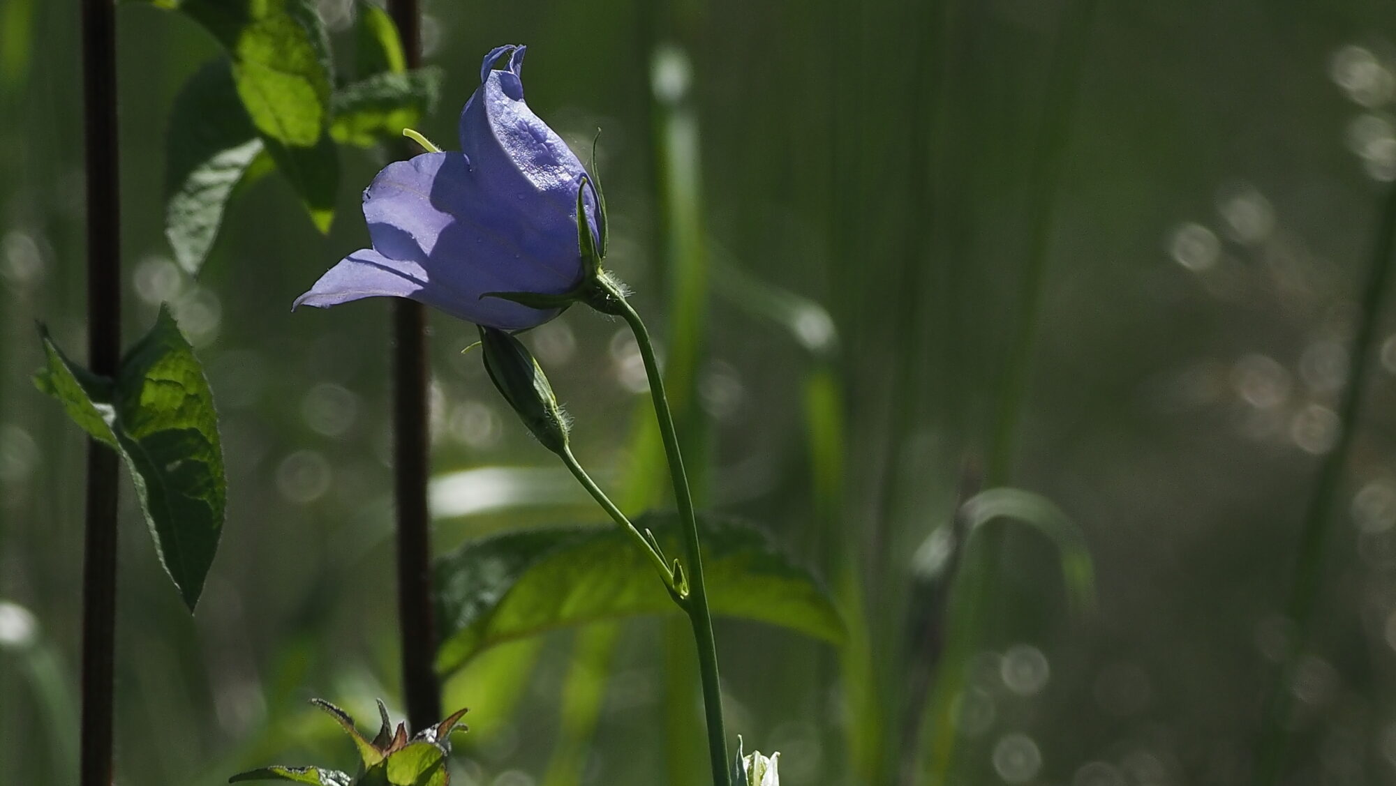 Valokuvaaja: Arja Valtonen