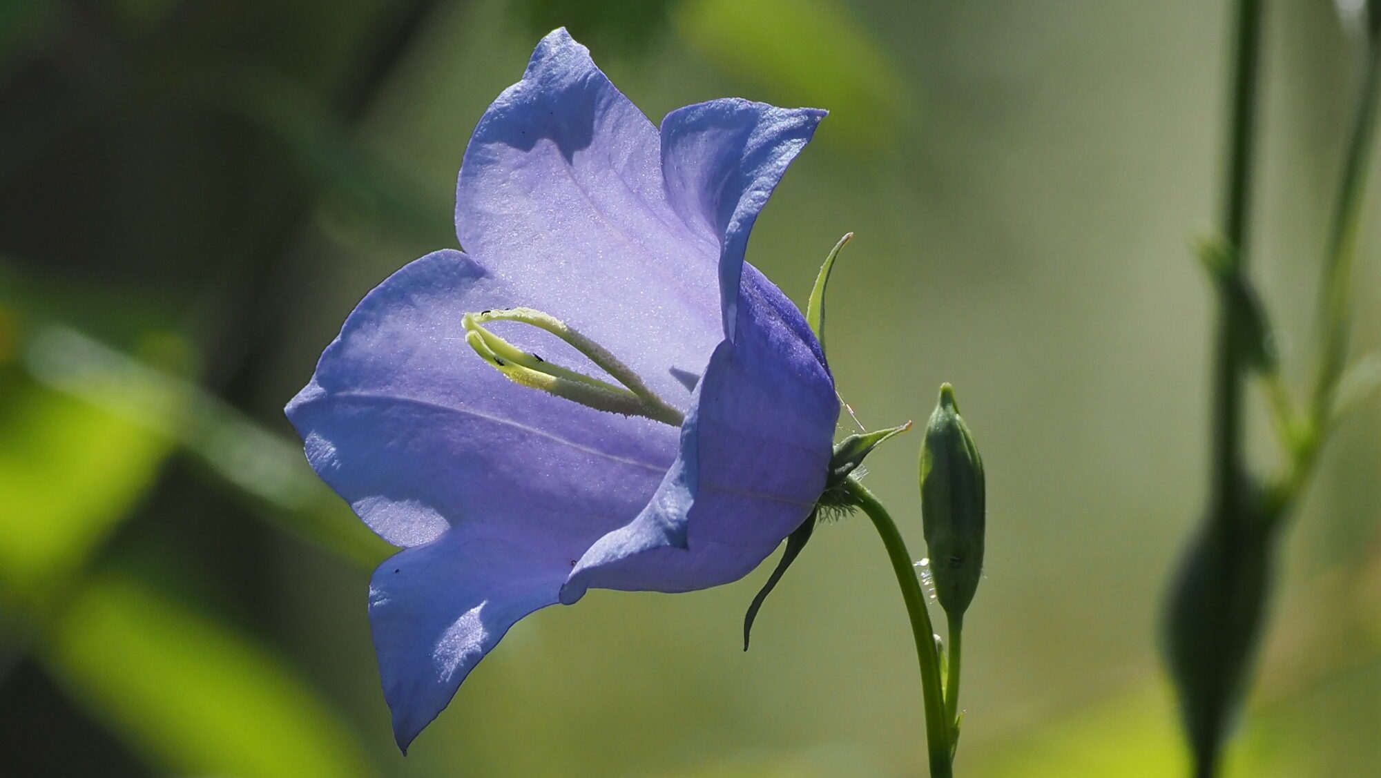 Valokuvaaja: Arja Valtonen