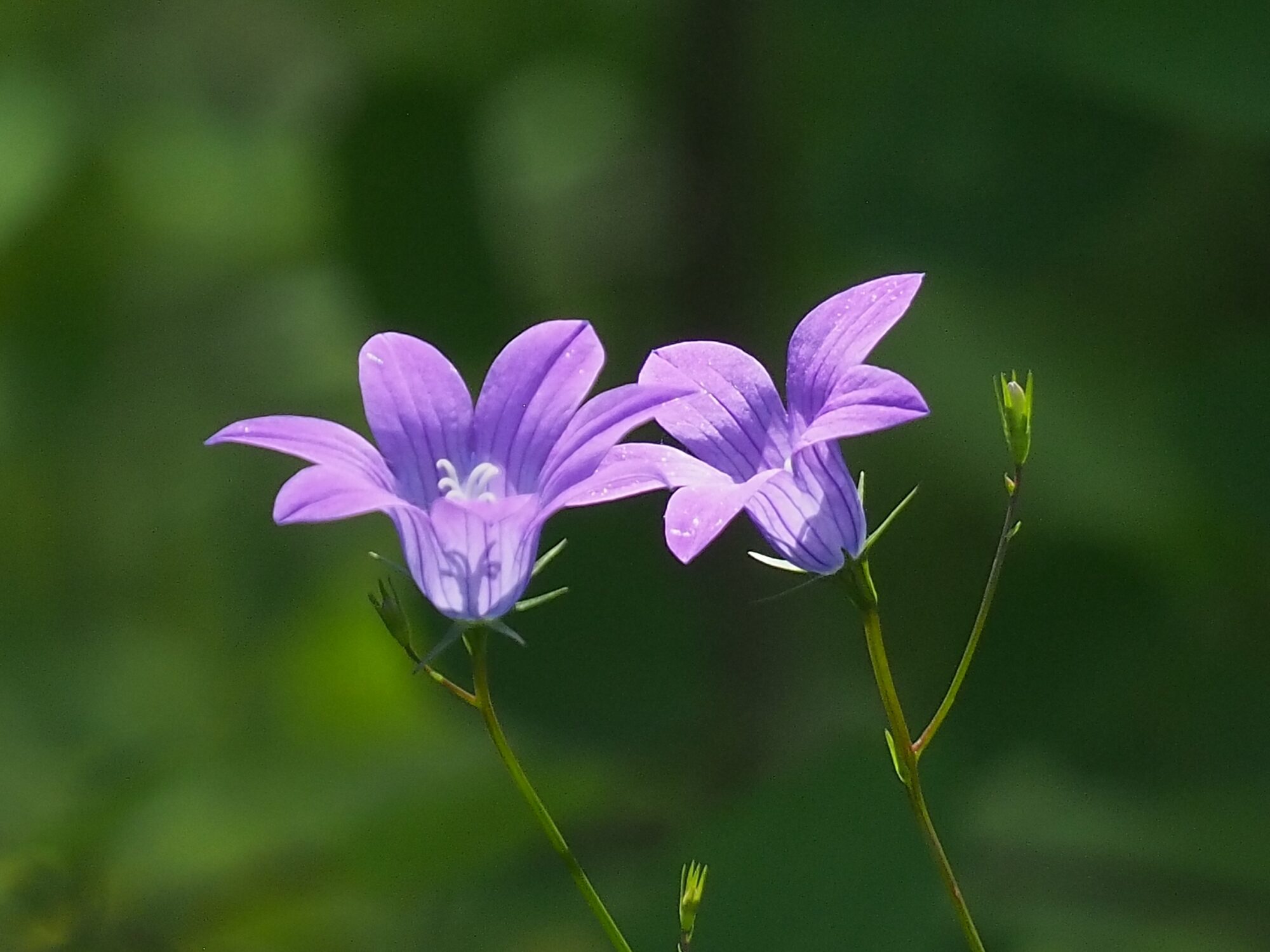 Valokuvaaja: Martti Valtonen