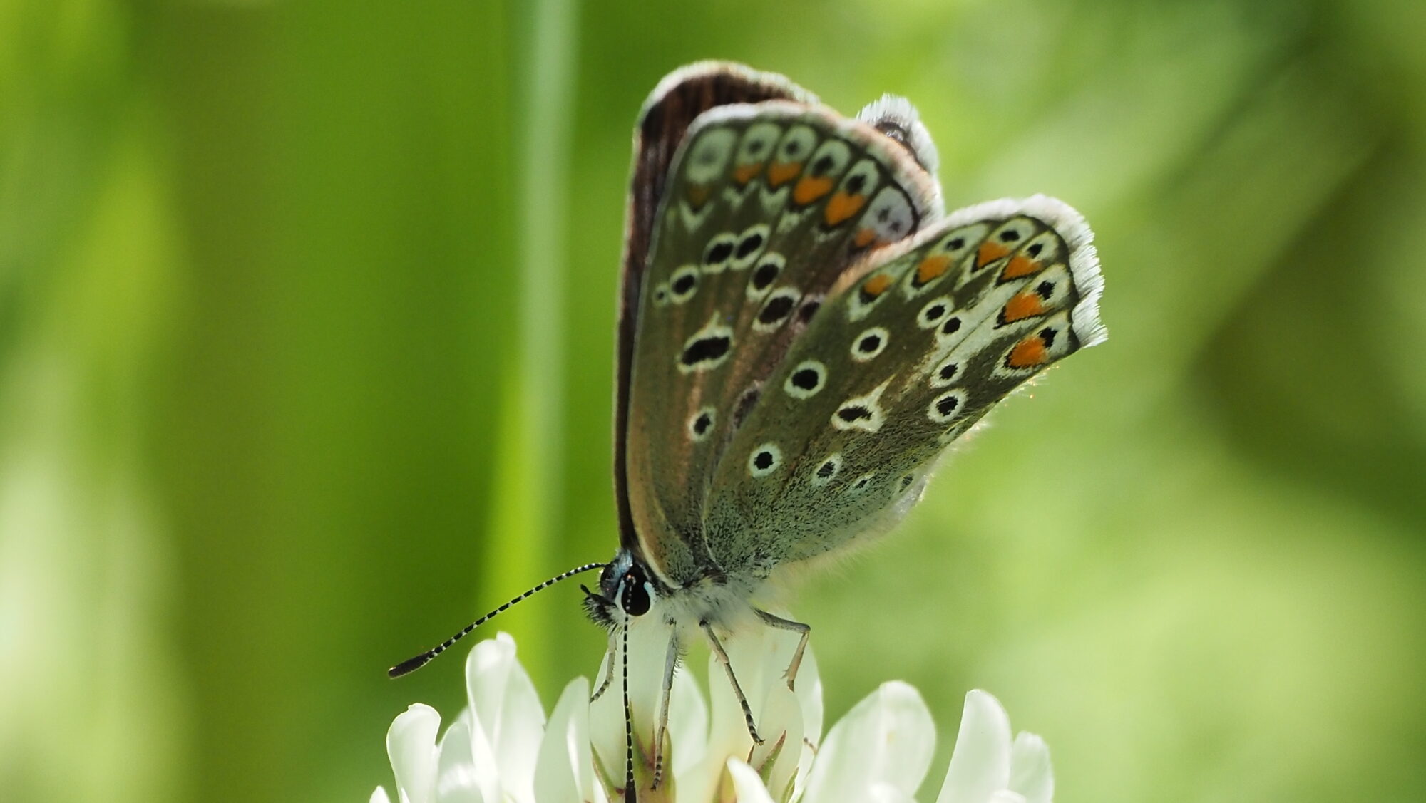 Valokuvaaja: Arja Valtonen