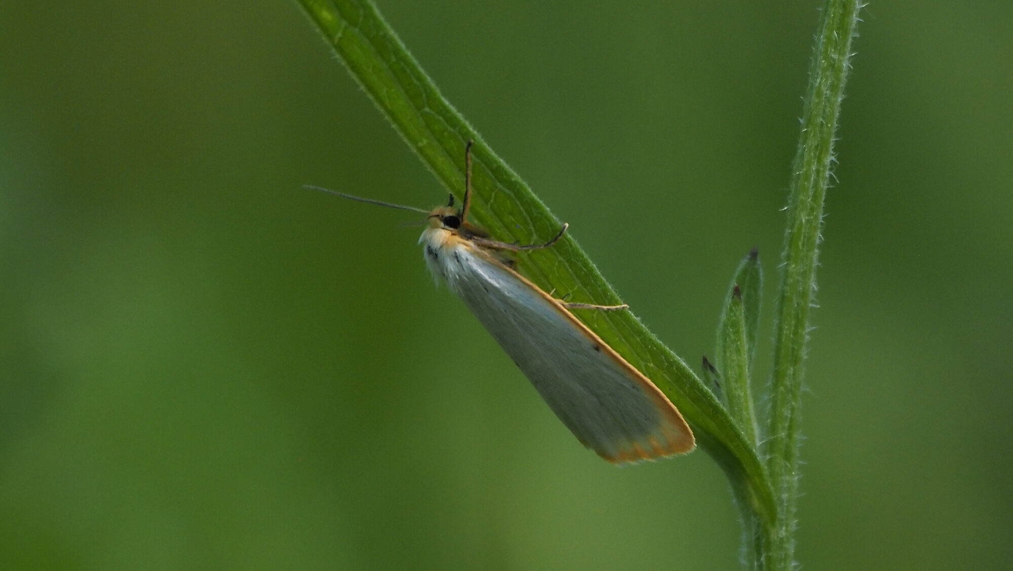 Valokuvaaja: Arja Valtonen