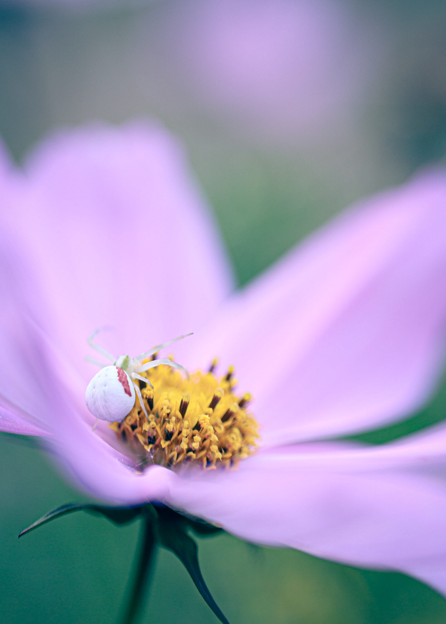 Valokuvaaja: Johanna Lempinen