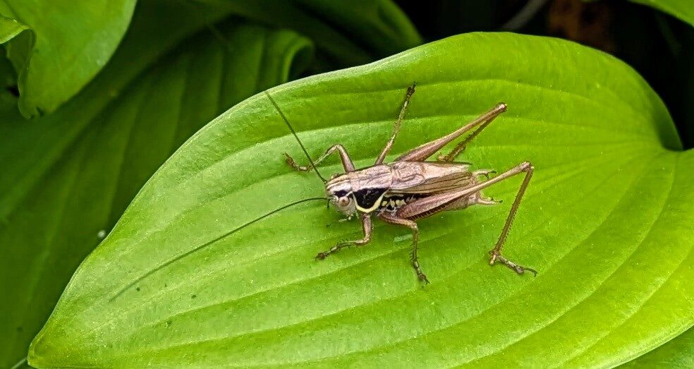 Valokuvaaja: Anu Lapinlampi