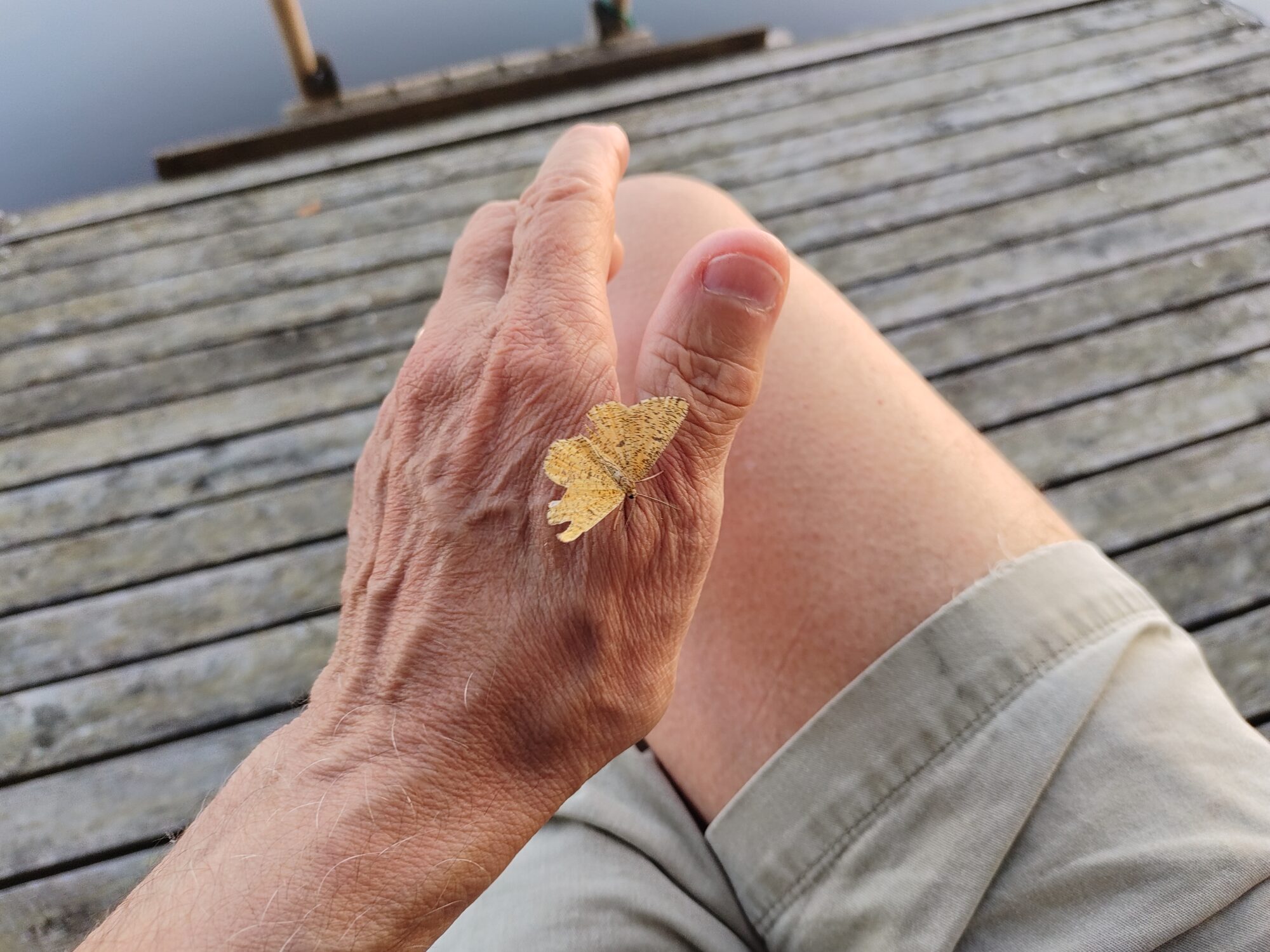 Valokuvaaja: Pekka Termonen