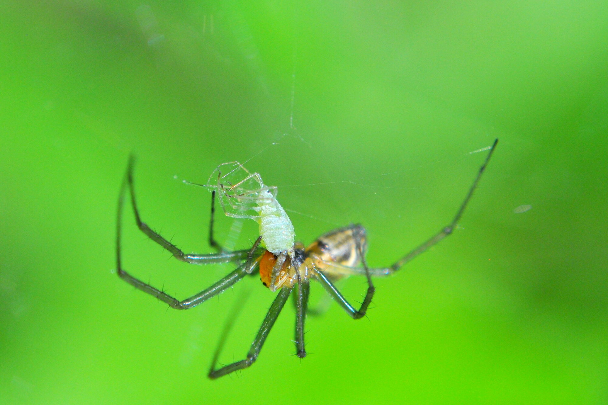 Valokuvaaja: Kaarlo Asikainen Valokuvaaja: Kaarlo Asikainen