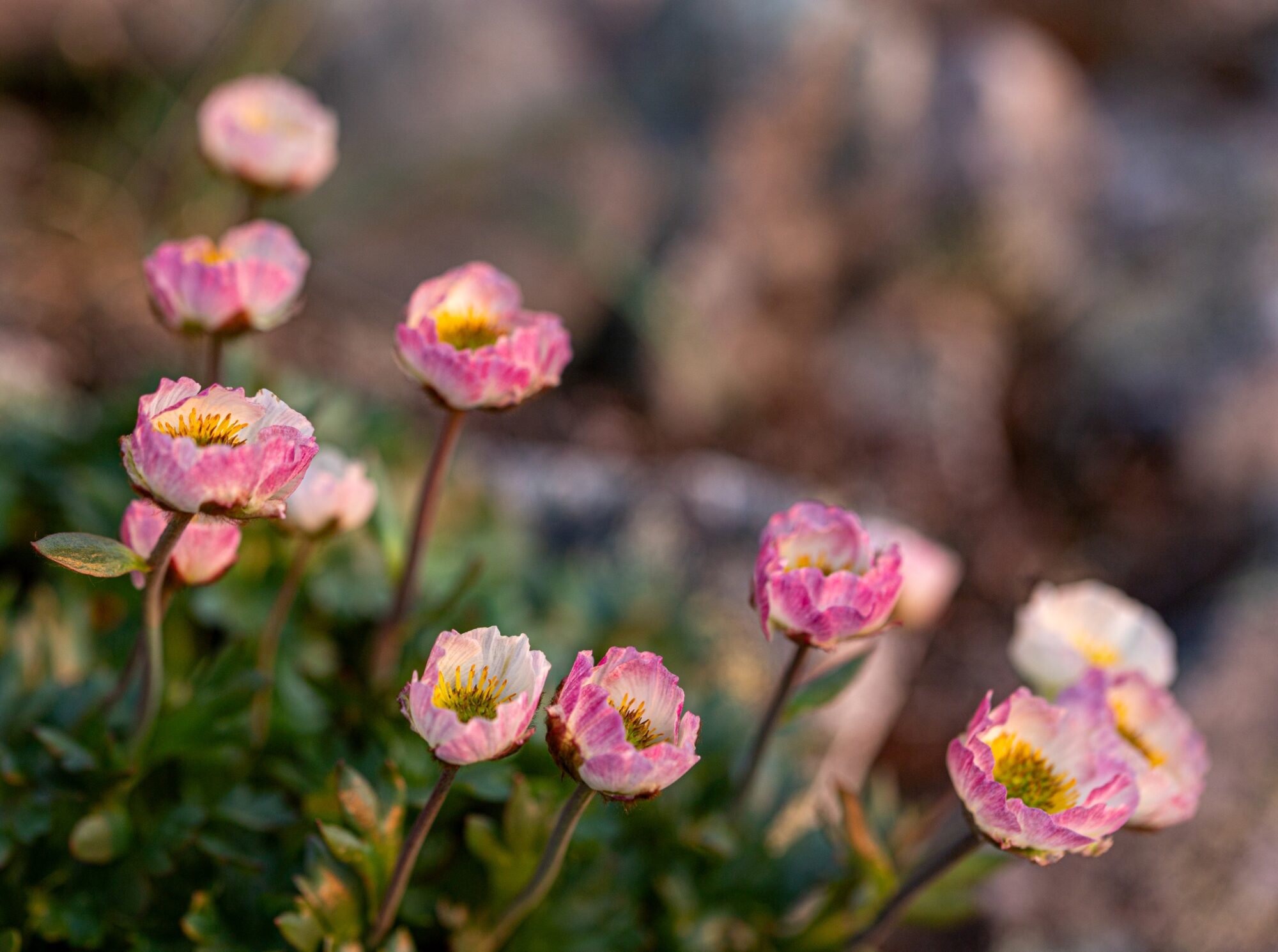Valokuvaaja: Katri Niskanen