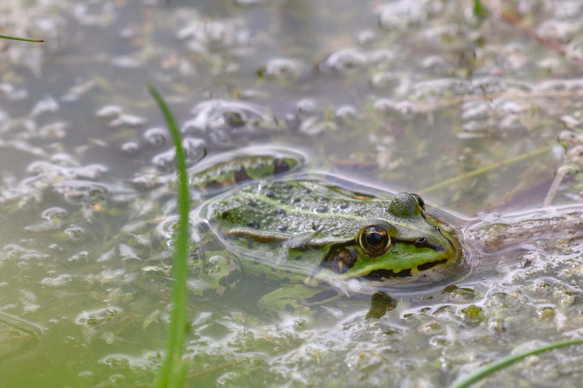 Valokuvaaja: Emmi Mäki