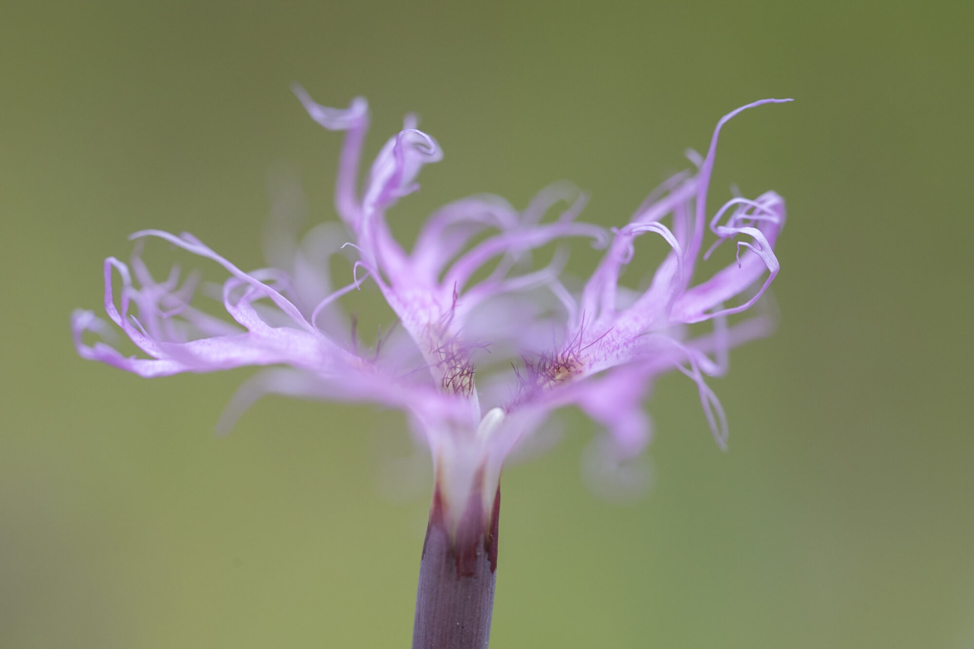 Valokuvaaja: Paul Stevens