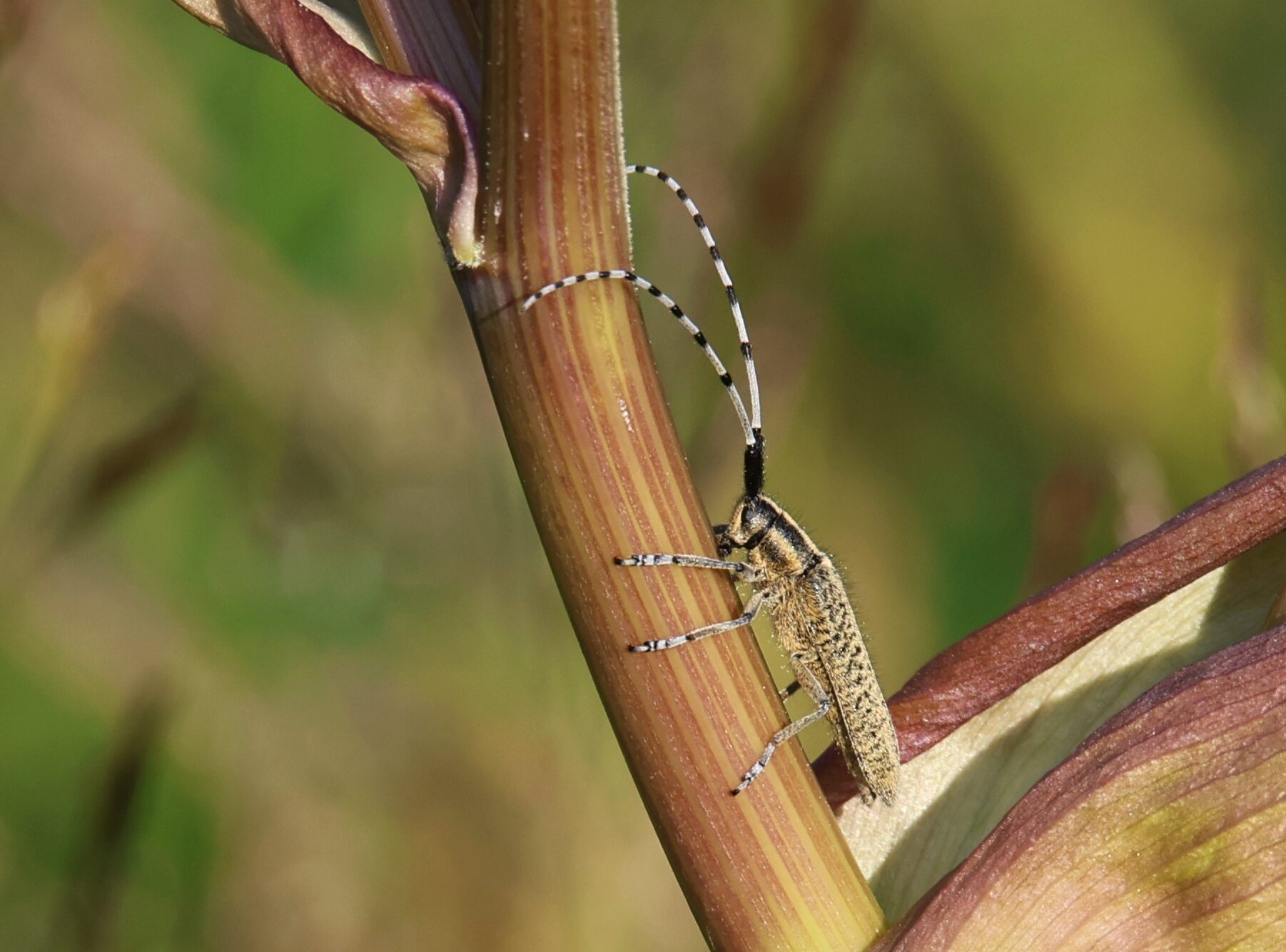 Valokuvaaja: Jaana Saarelainen