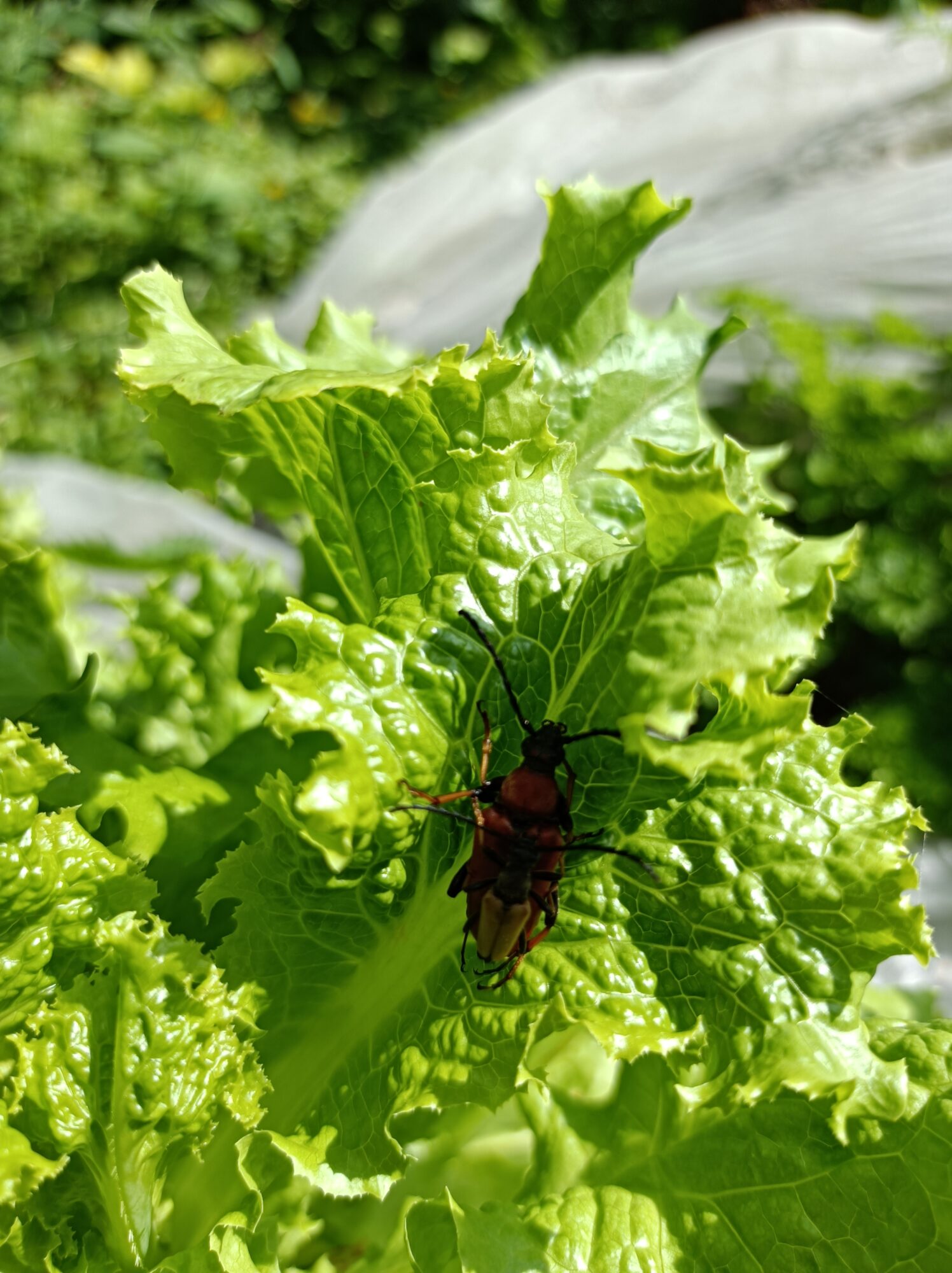 Valokuvaaja: Olli Väisälä