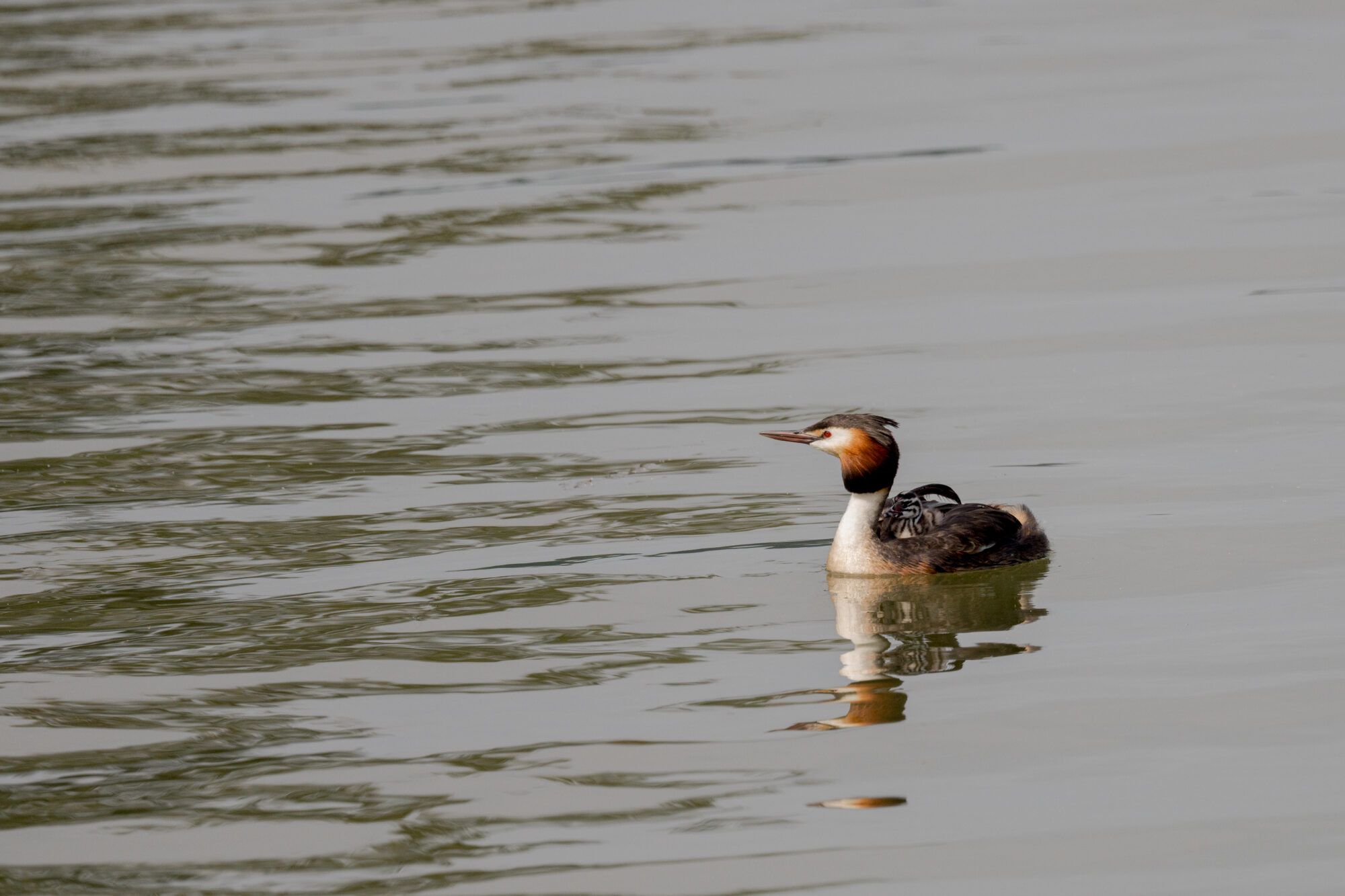 Valokuvaaja: Tuomo Salminen
