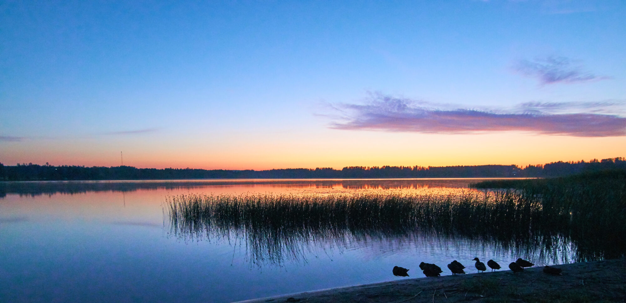 Valokuvaaja: Tarja Kouvo
