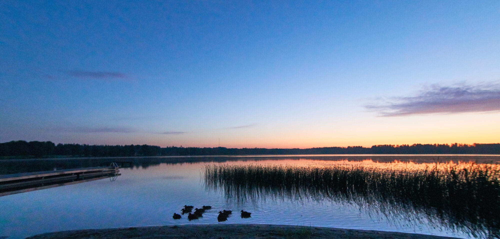 Valokuvaaja: Tarja Kouvo