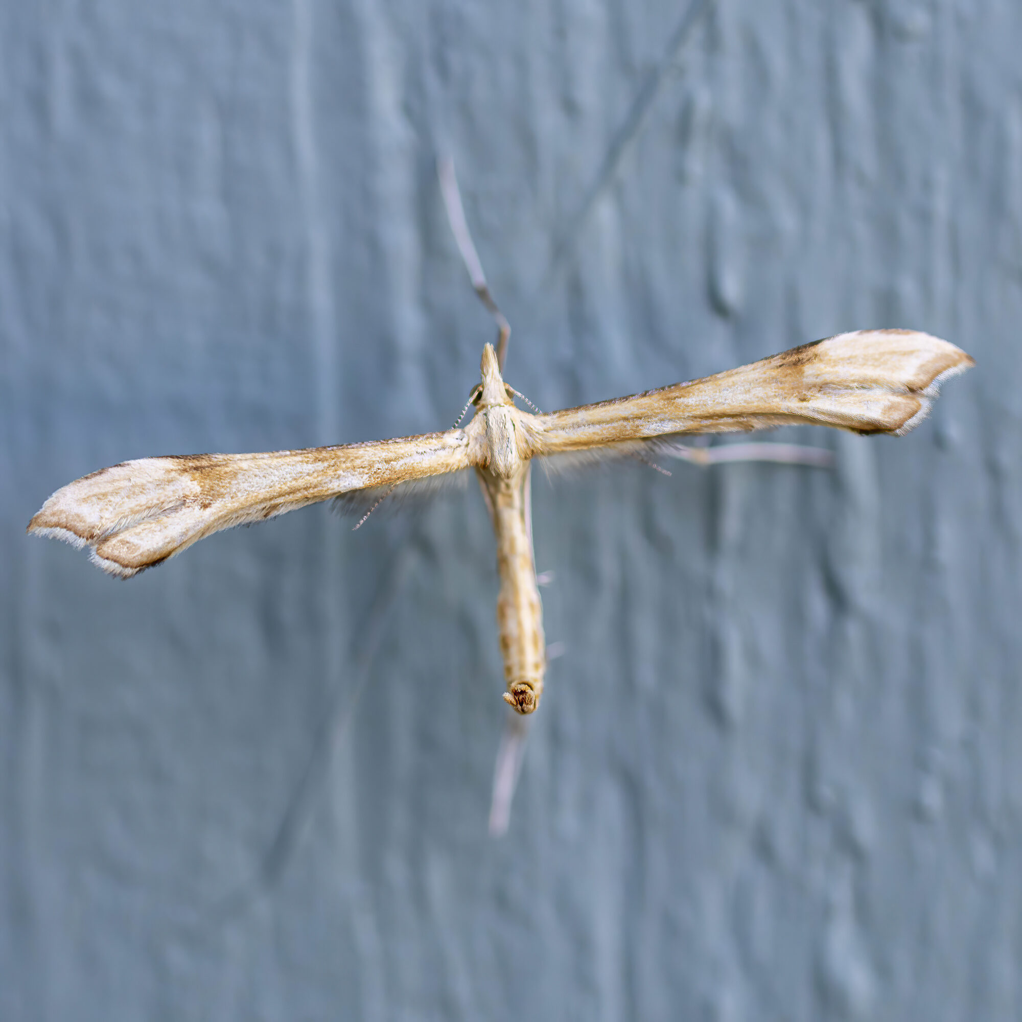 Valokuvaaja: Hannu Tikkanen