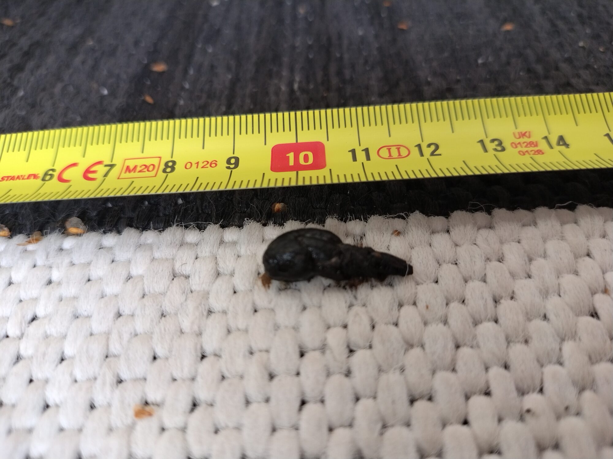 Valokuvaaja: Kullervo Fabritius