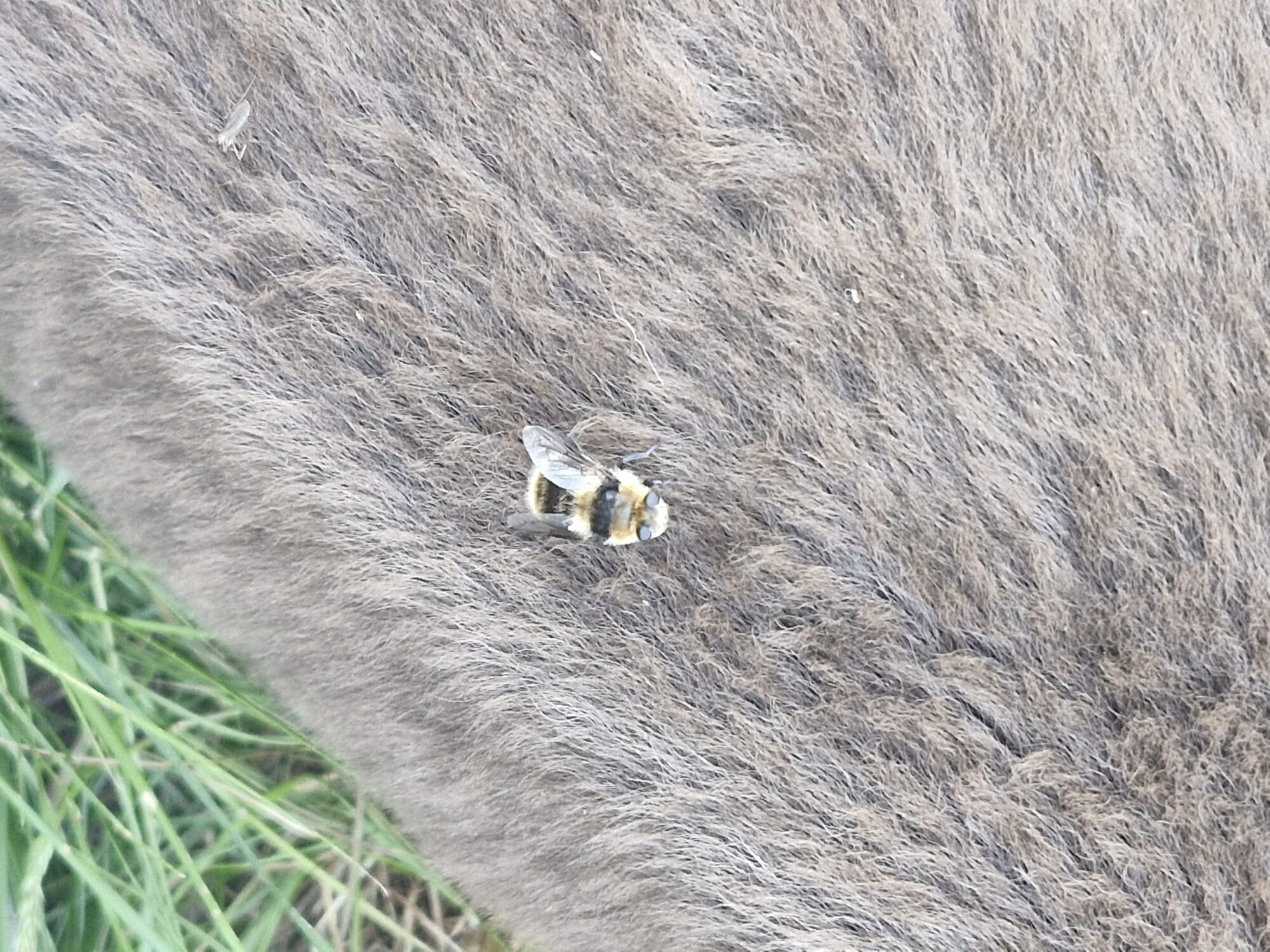 Valokuvaaja: Jani Paananen