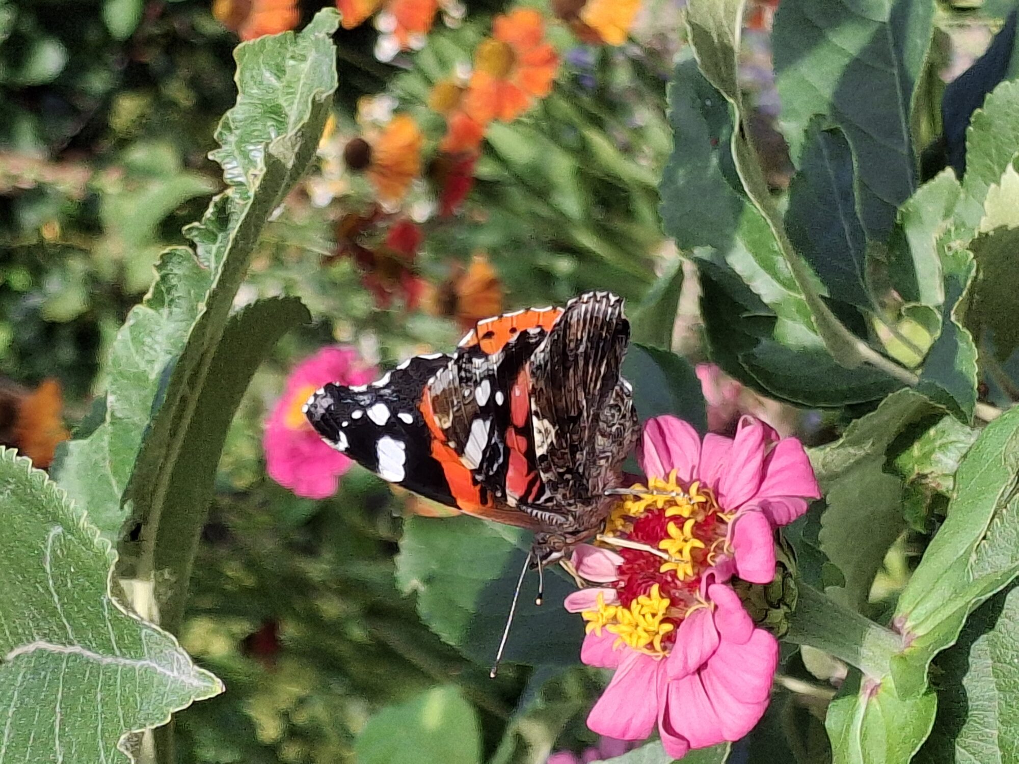 Valokuvaaja: Satu Suuntala
