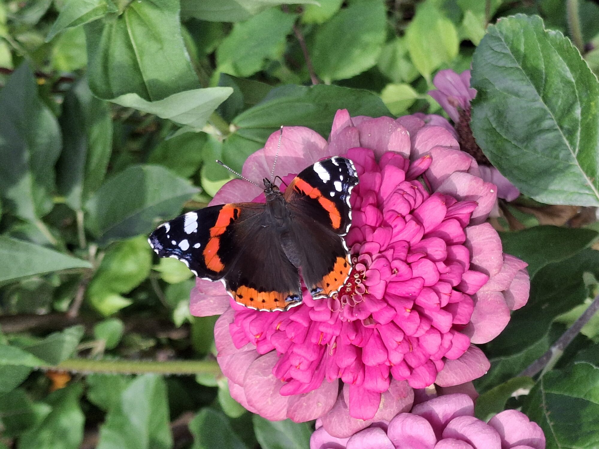 Valokuvaaja: Satu Suuntala