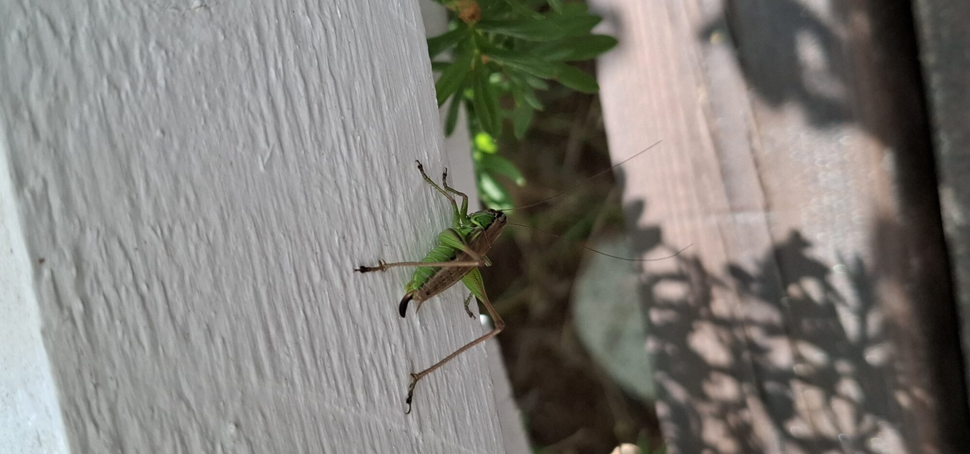 Valokuvaaja: Ari Rytky