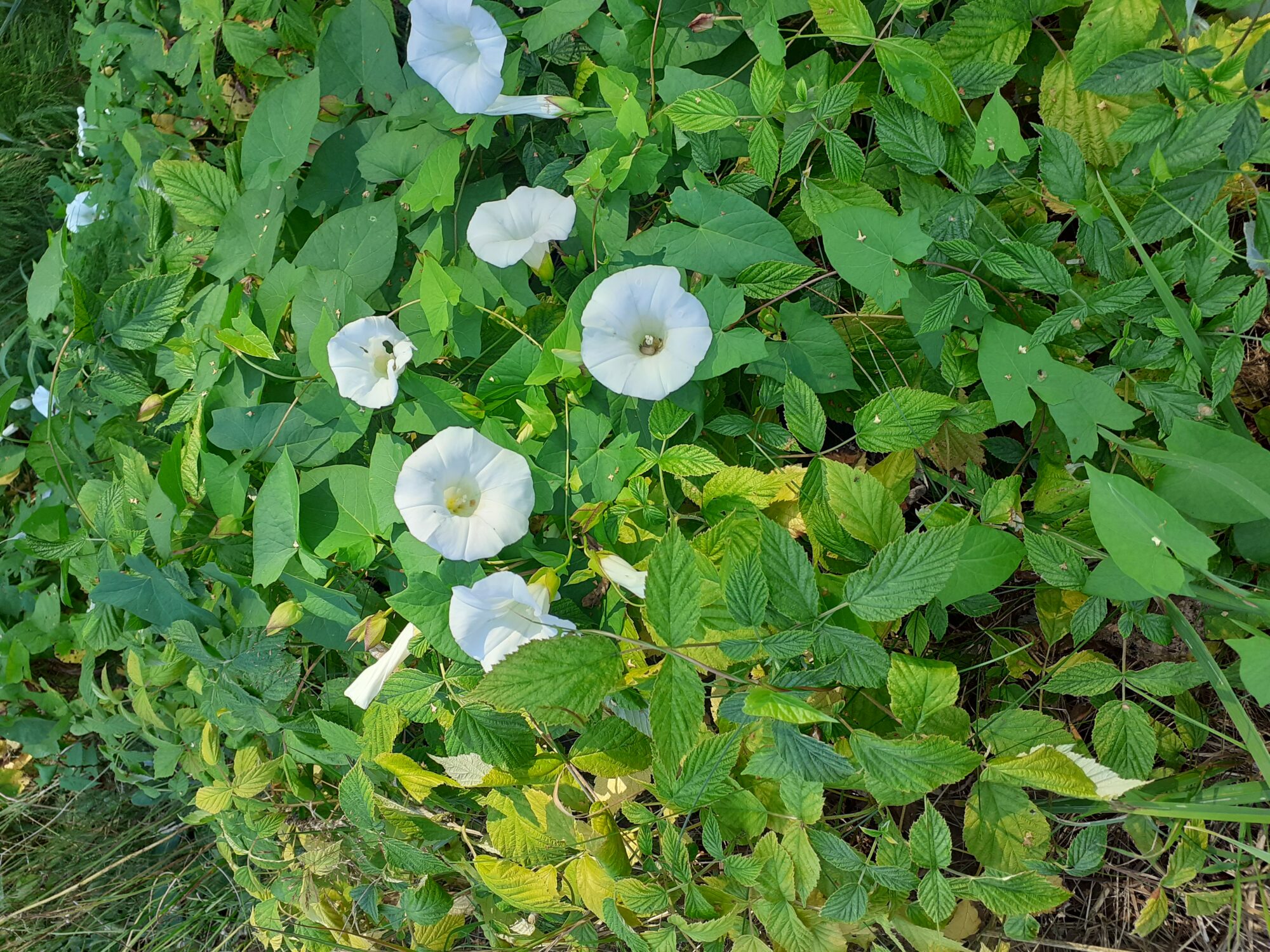 Valokuvaaja: Eeva-Liisa Ilvonen