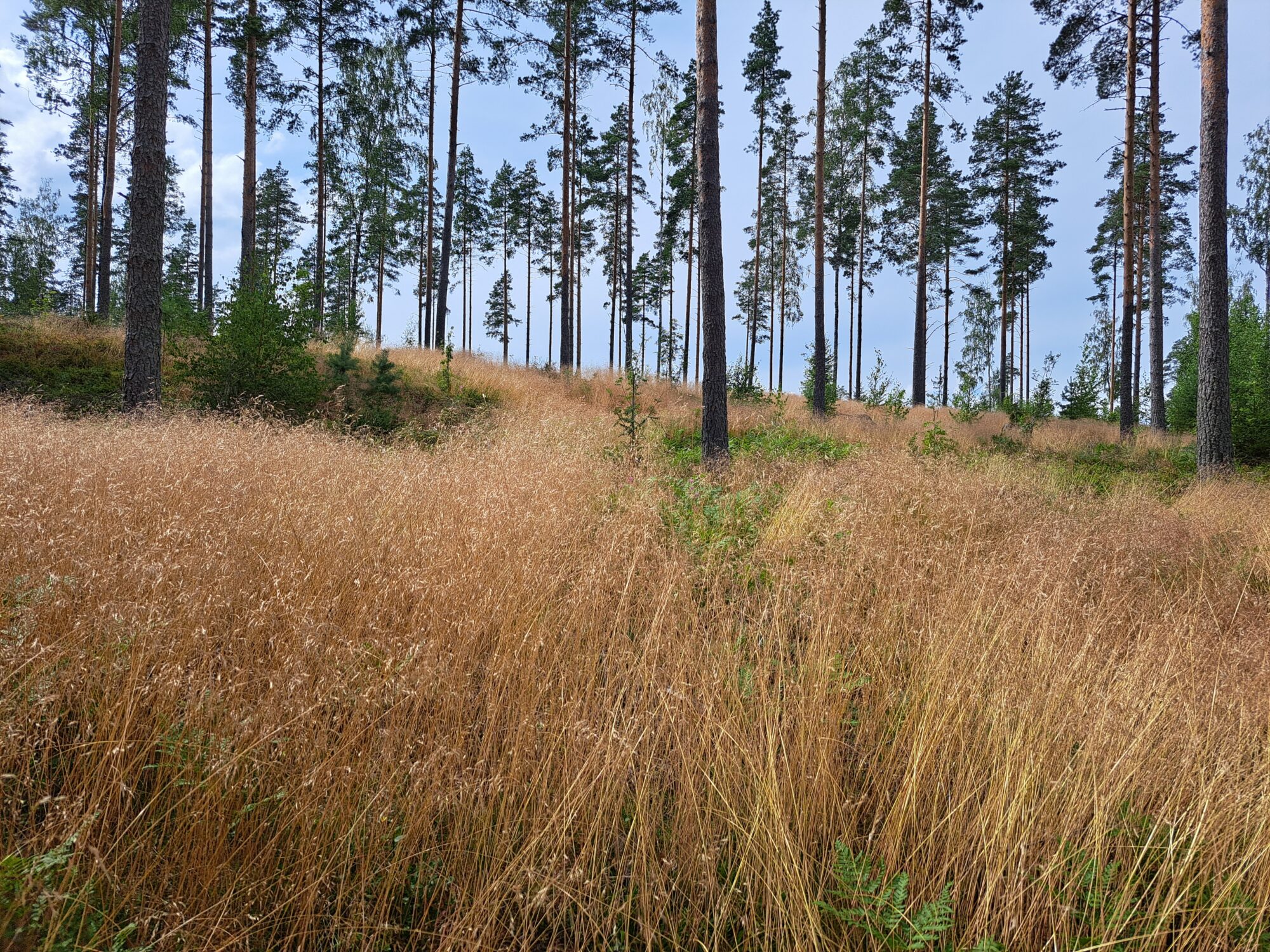 Valokuvaaja: Irja Lehtinen