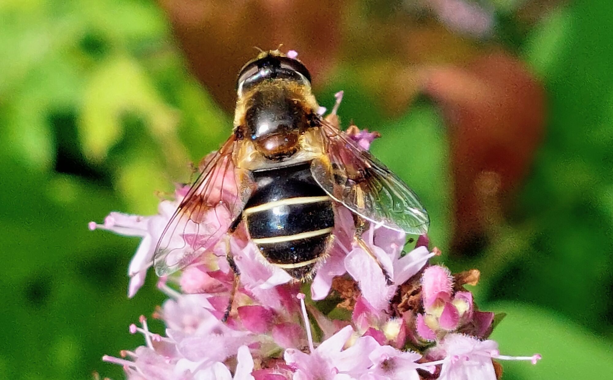 Valokuvaaja: Tarja Naukkarinen