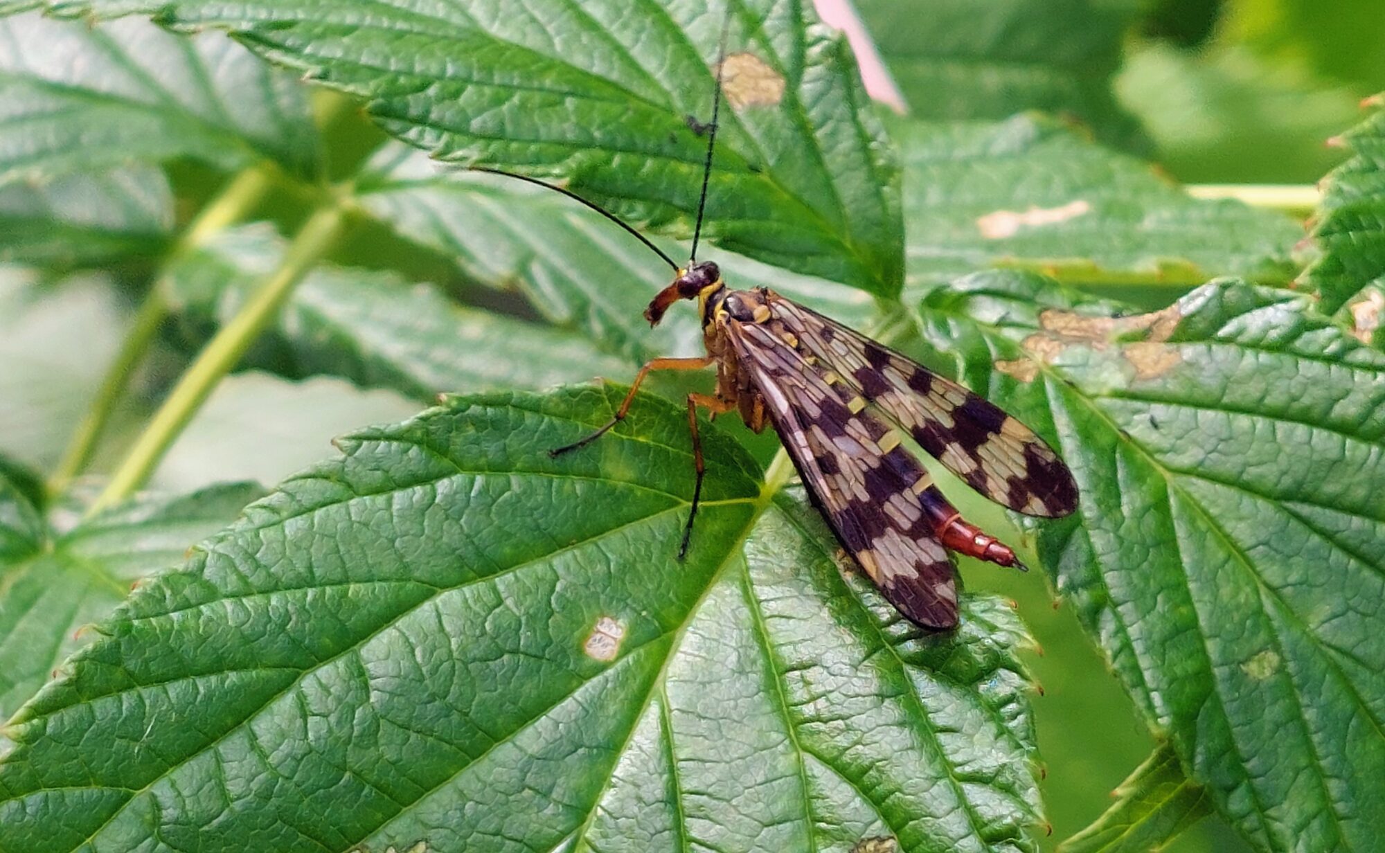 Valokuvaaja: Tarja Naukkarinen