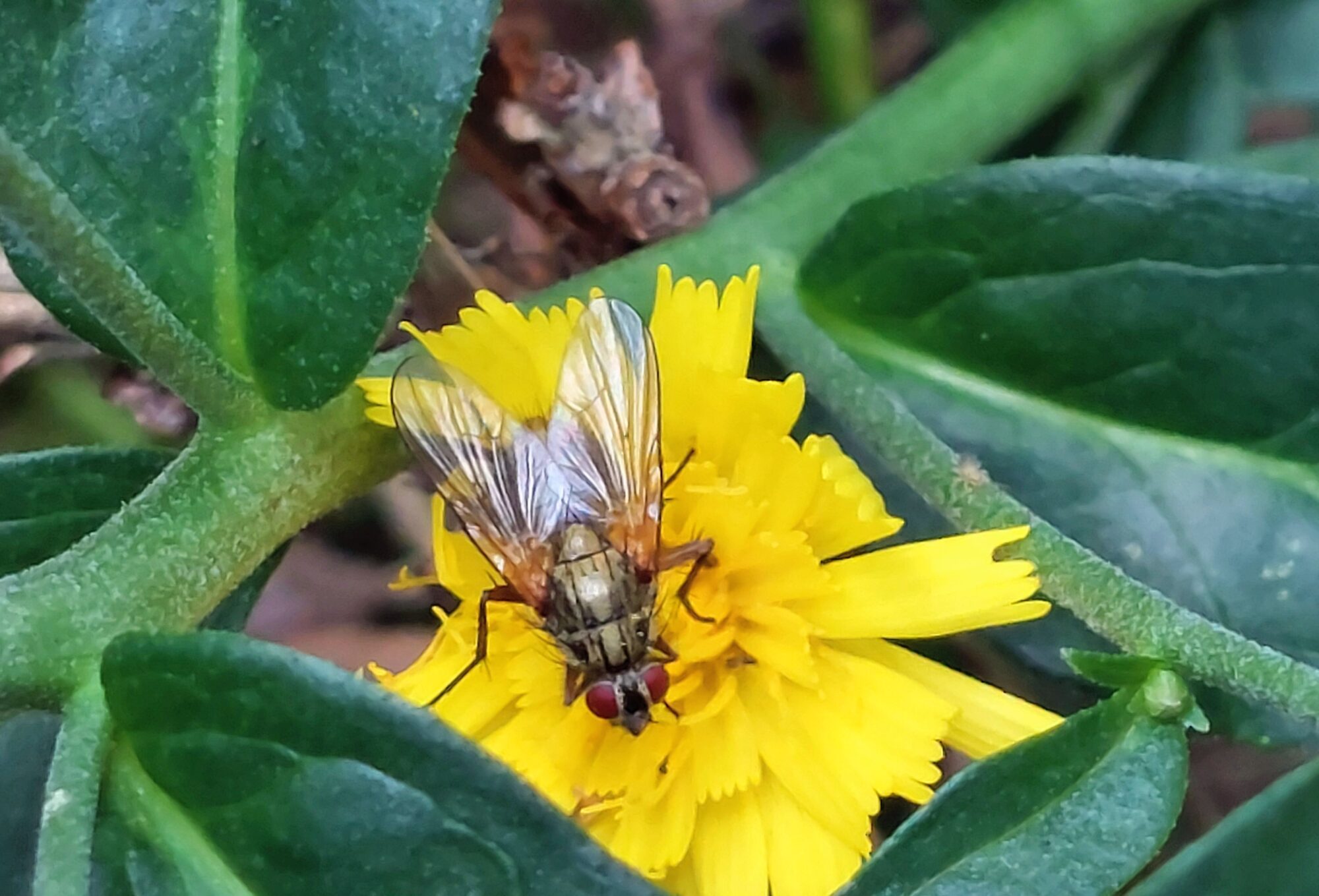 Valokuvaaja: Tarja Naukkarinen