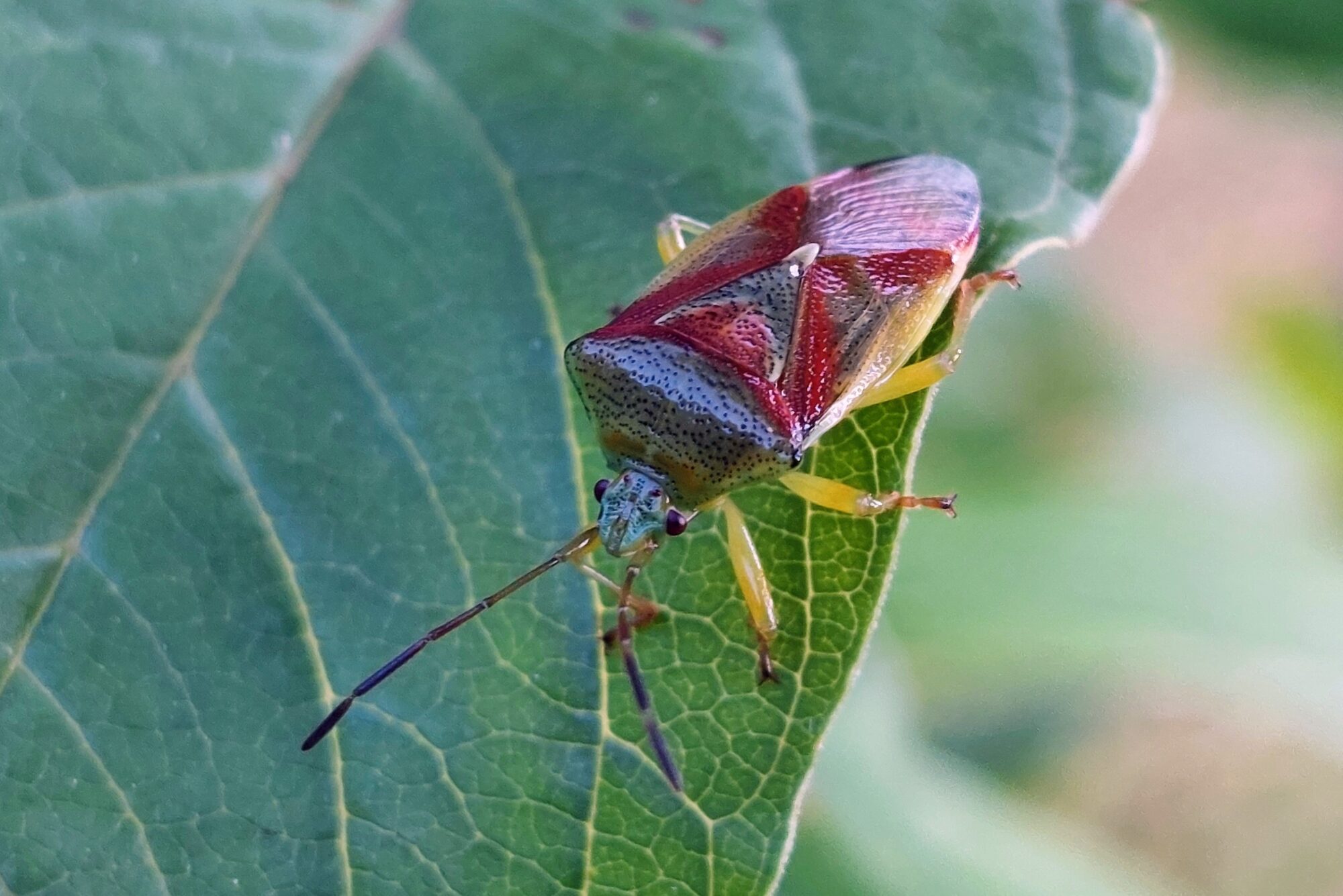 Valokuvaaja: Tarja Naukkarinen