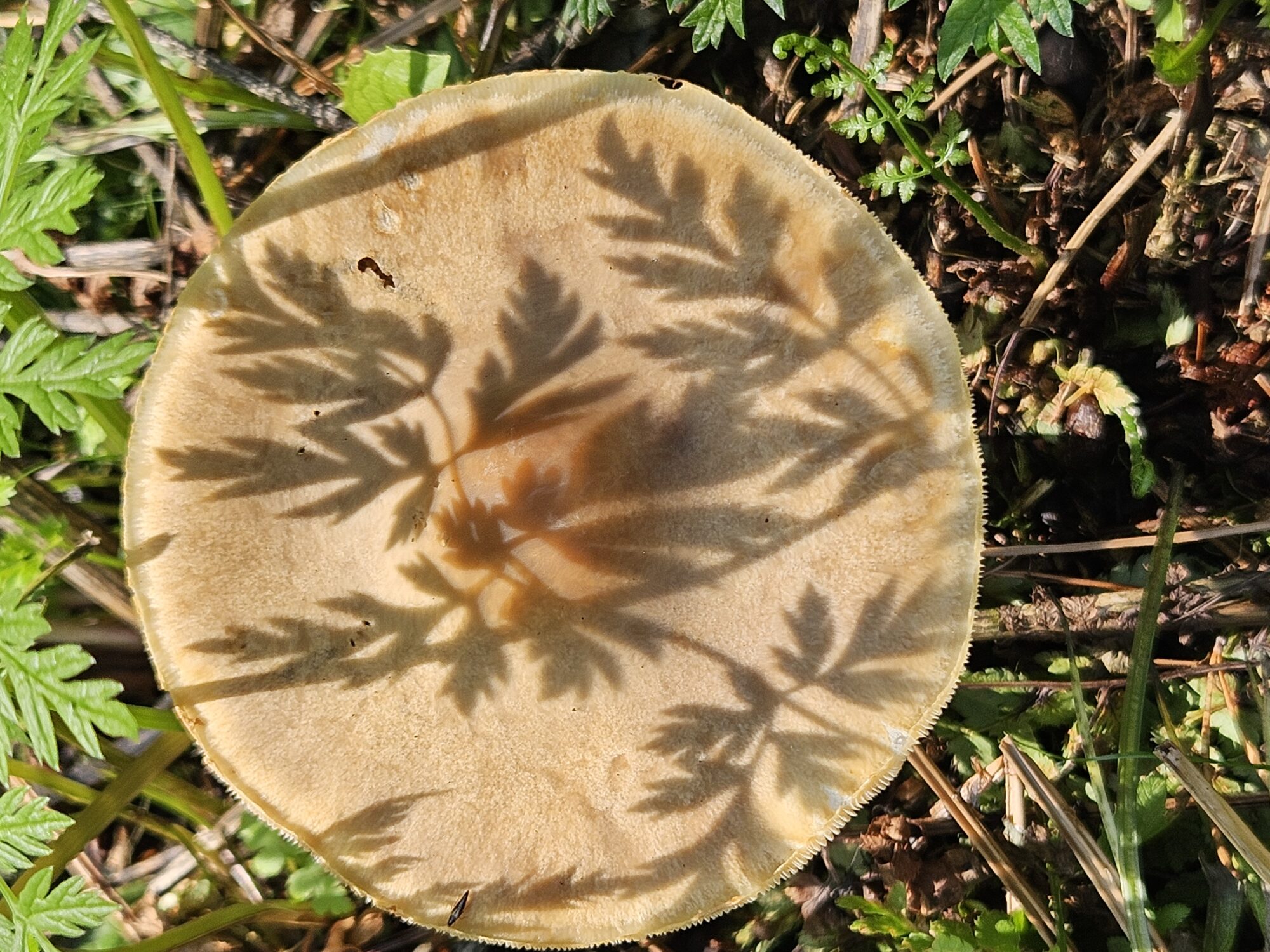 Valokuvaaja: Eeva Ollikainen