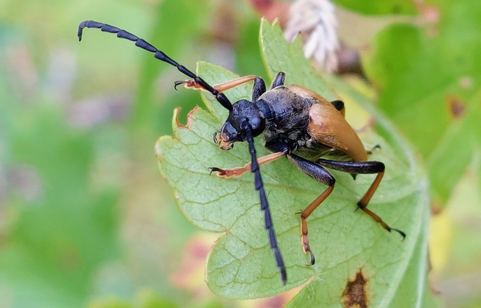 Valokuvaaja: Tarja Naukkarinen
