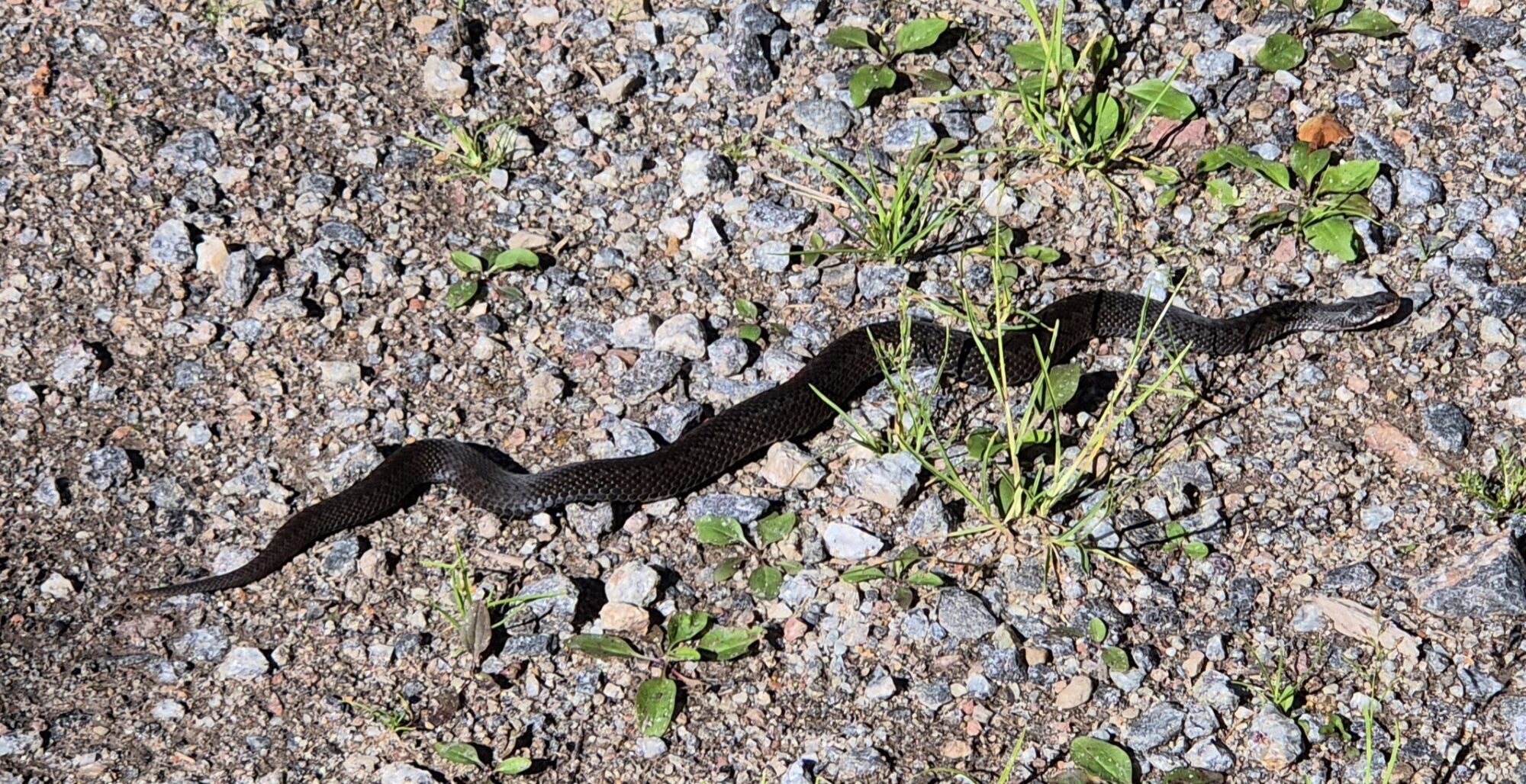 Valokuvaaja: Hanna Lehto