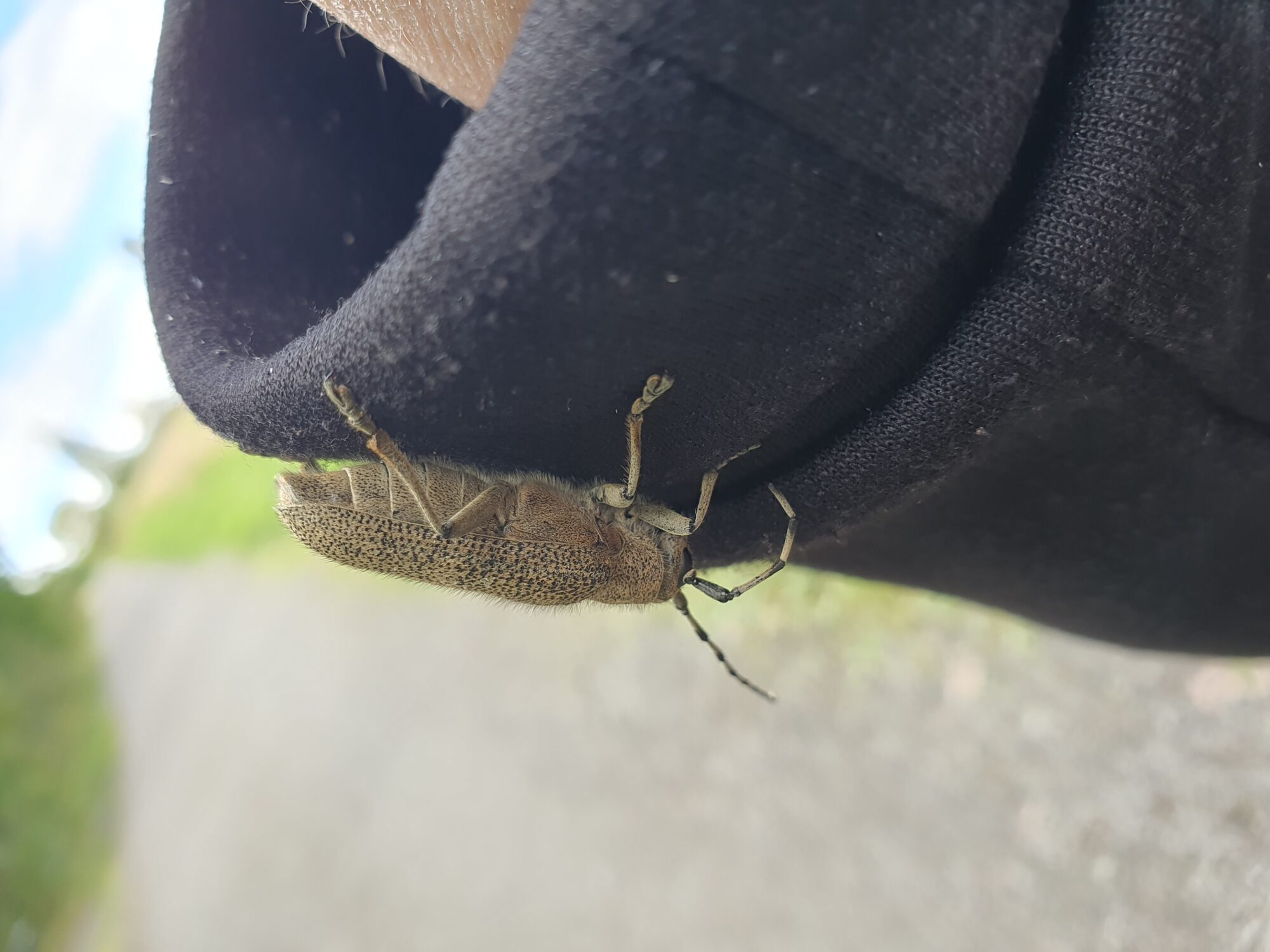 Valokuvaaja: Pirkko Tuulihovi