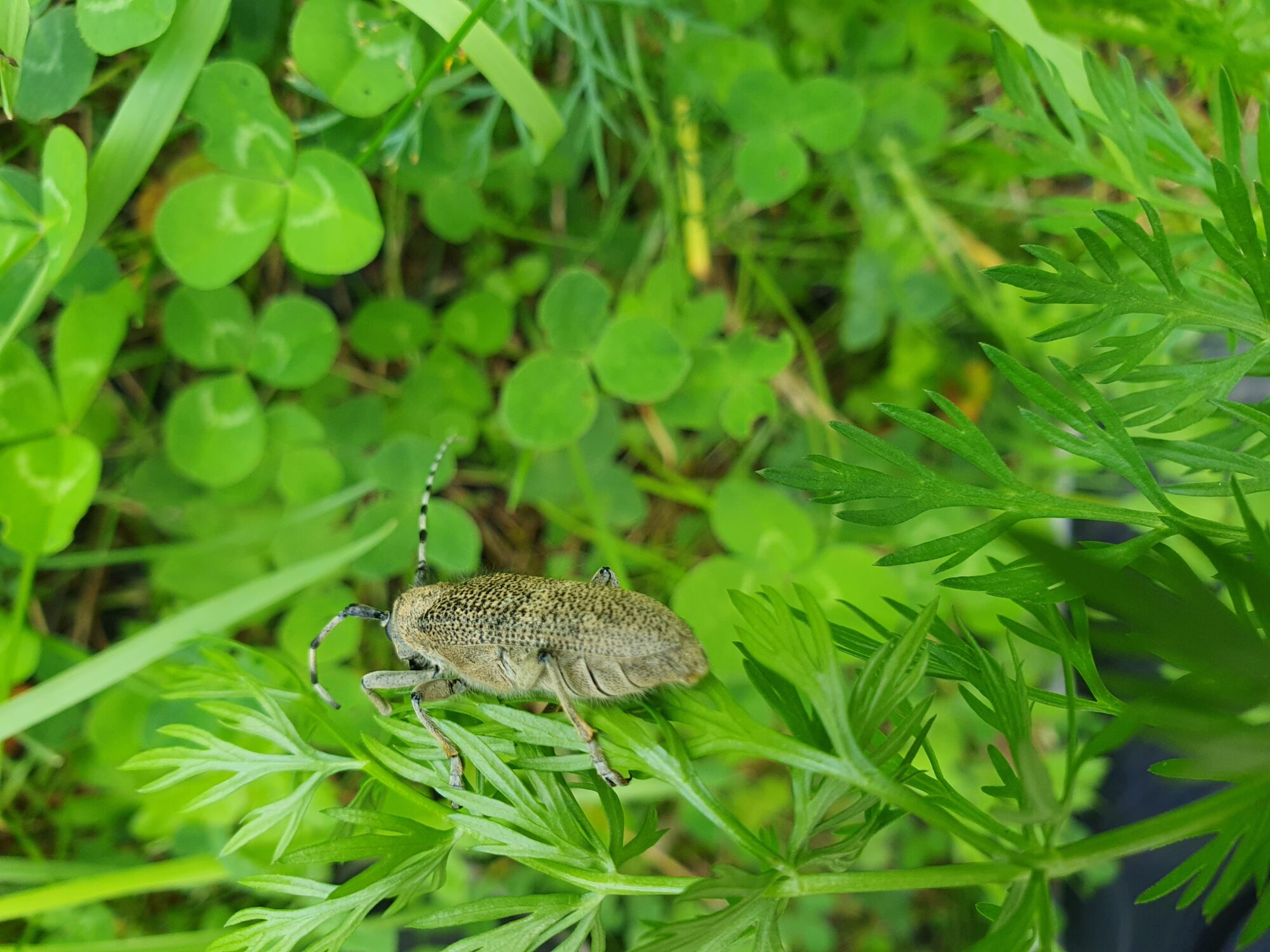 Valokuvaaja: Pirkko Tuulihovi