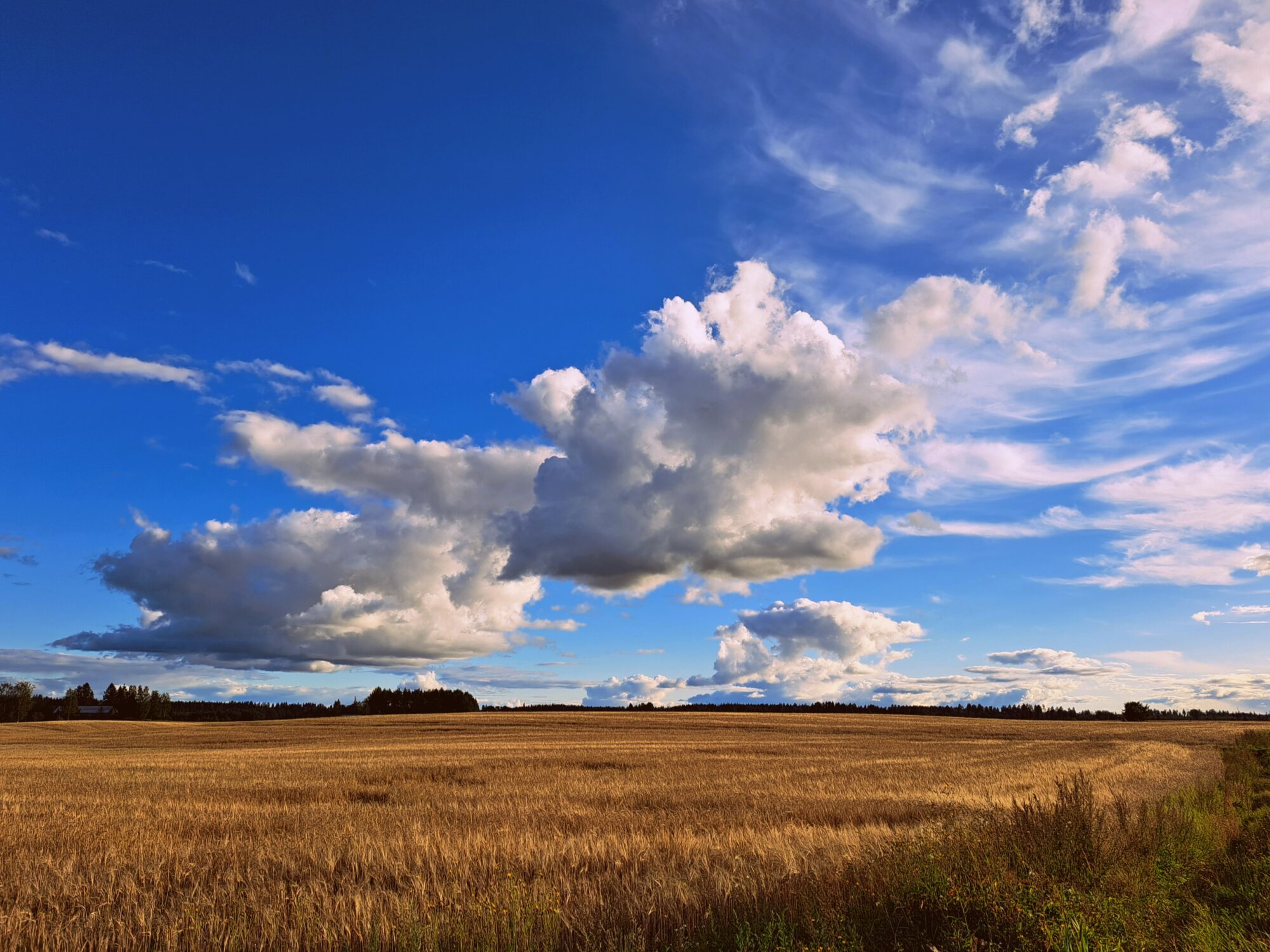 Valokuvaaja: Irja Lehtinen
