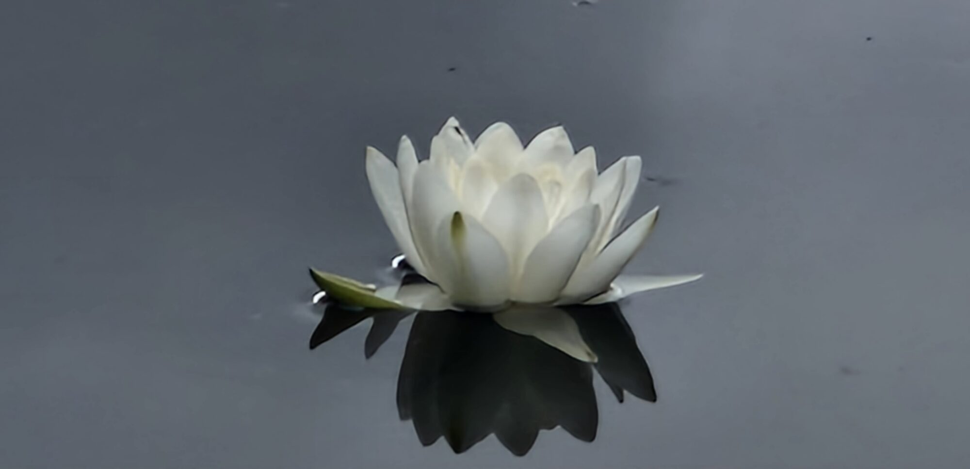 Valokuvaaja: Mervi And