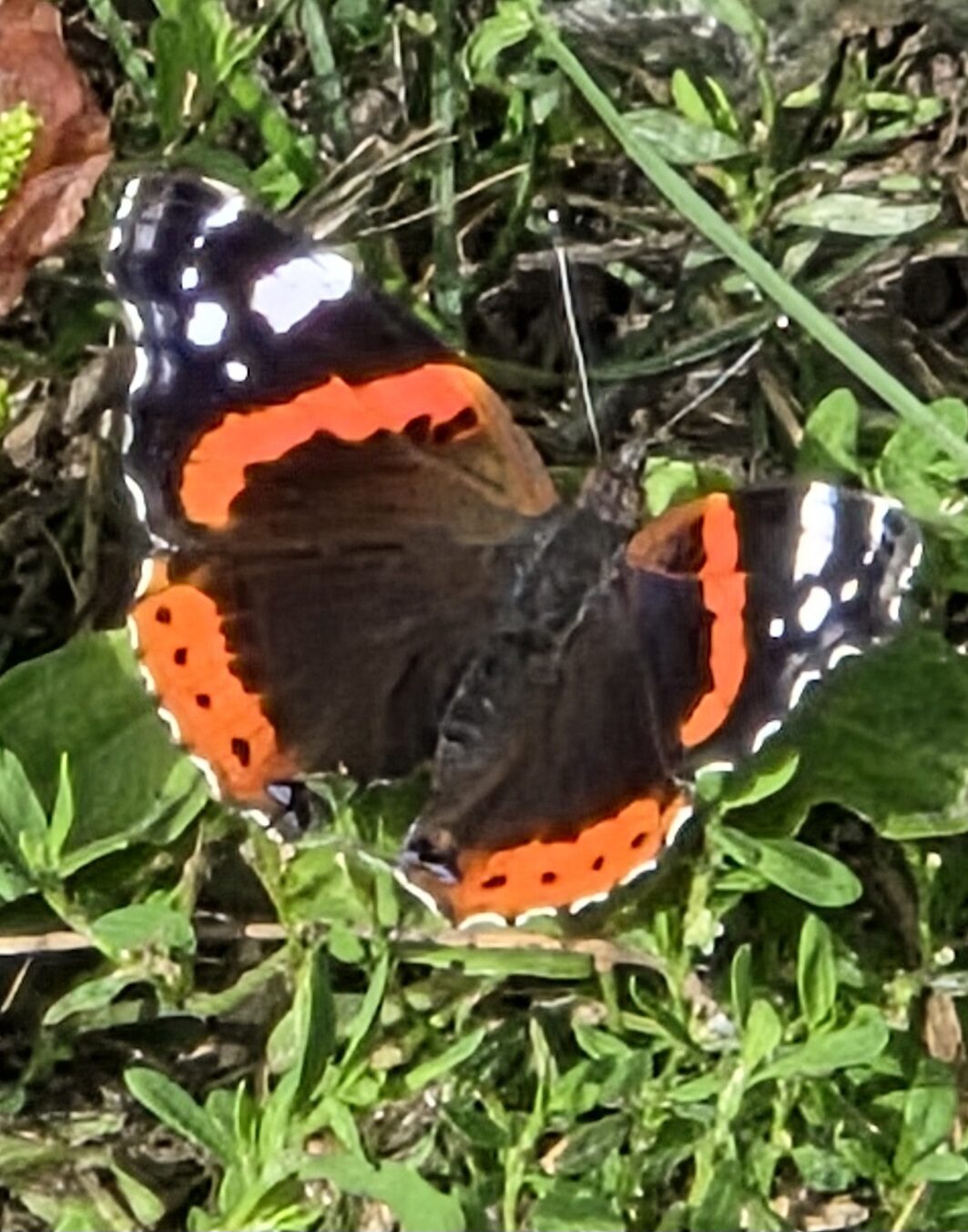Valokuvaaja: Jussi Hannukainen