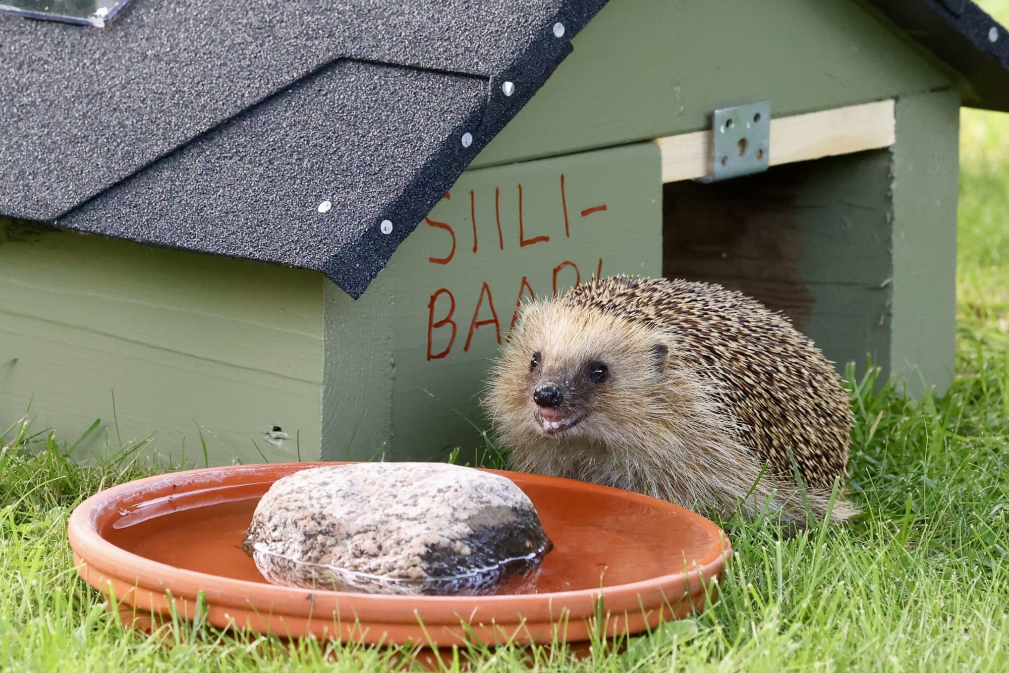 Valokuvaaja: Jukka Henriksson