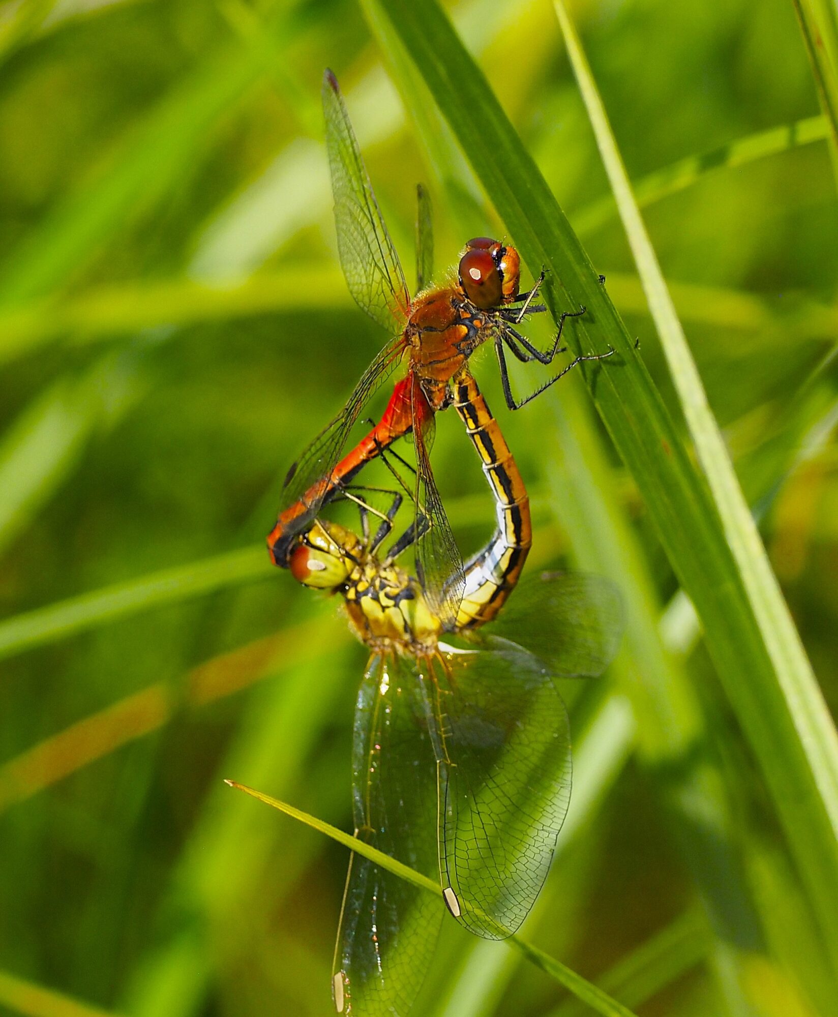 Valokuvaaja: Annikki Kärkkäinen