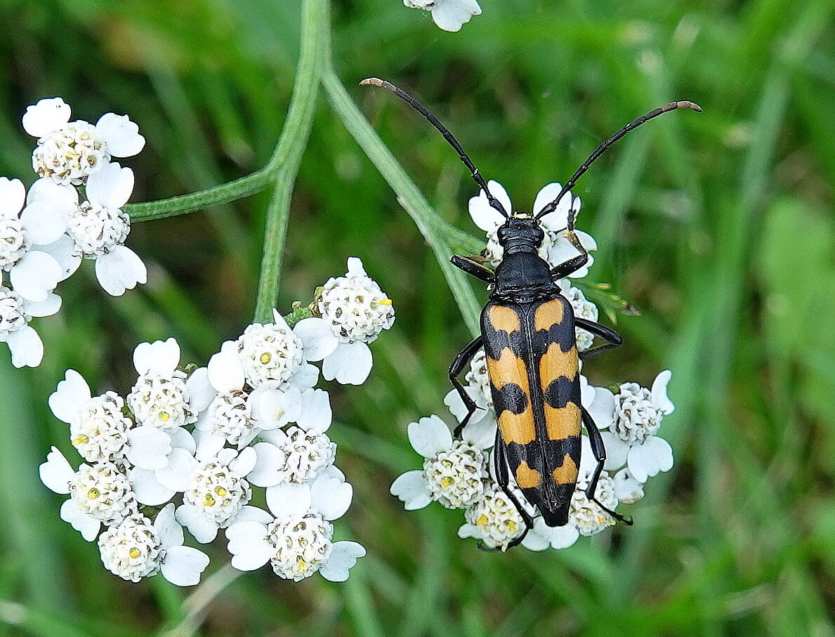 Valokuvaaja: Raija Oksanen