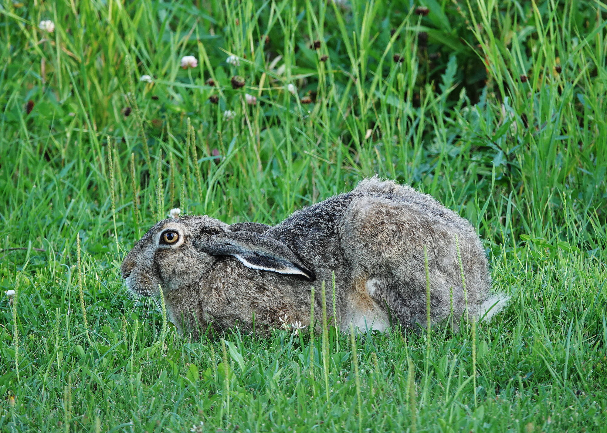 Valokuvaaja: Raija Oksanen