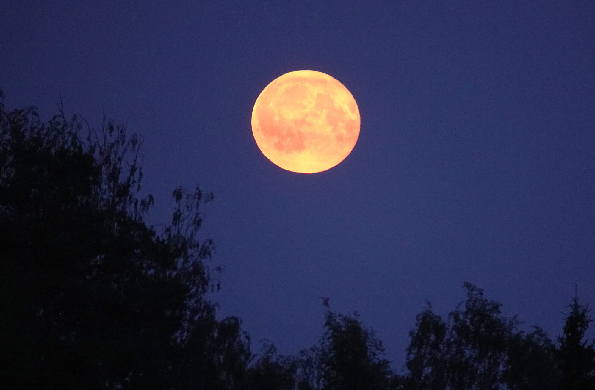 Valokuvaaja: Raija Oksanen