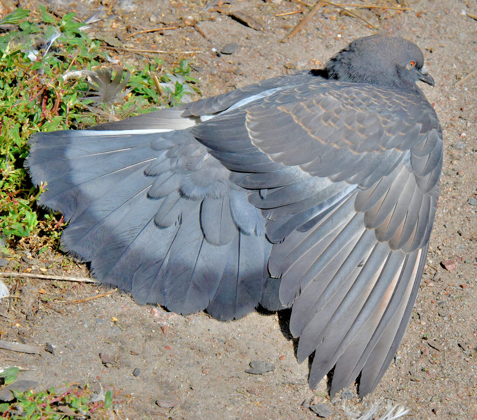 Valokuvaaja: Reijo Juurinen