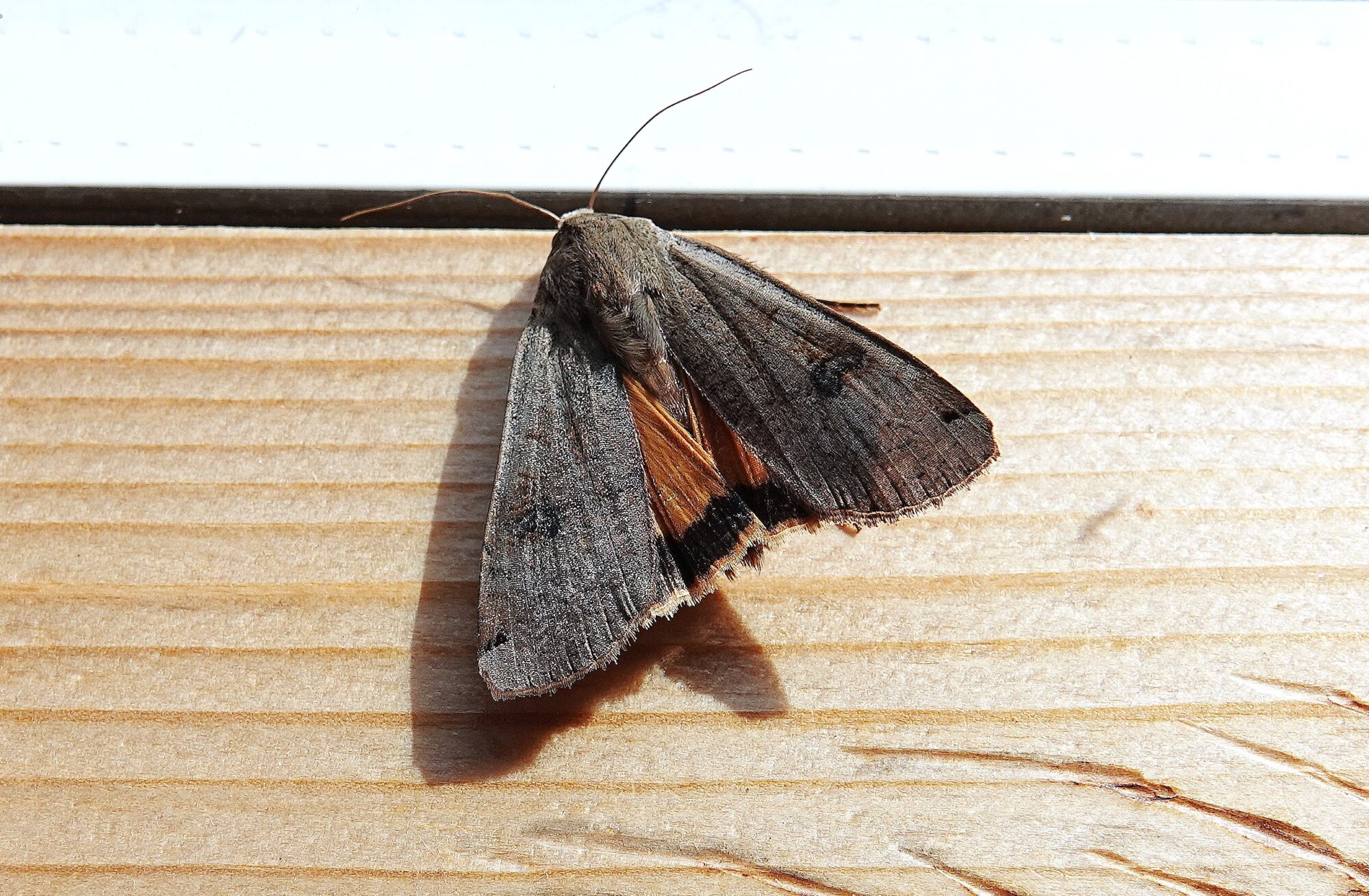 Valokuvaaja: Raija Oksanen