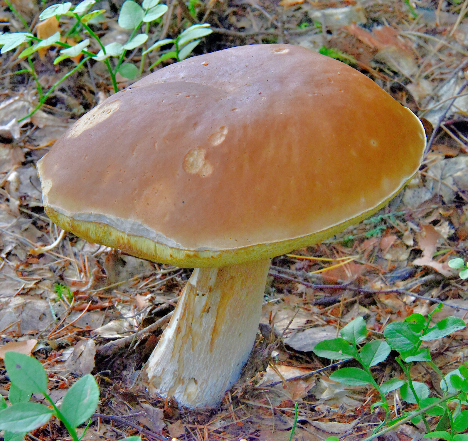 Valokuvaaja: Reijo Juurinen