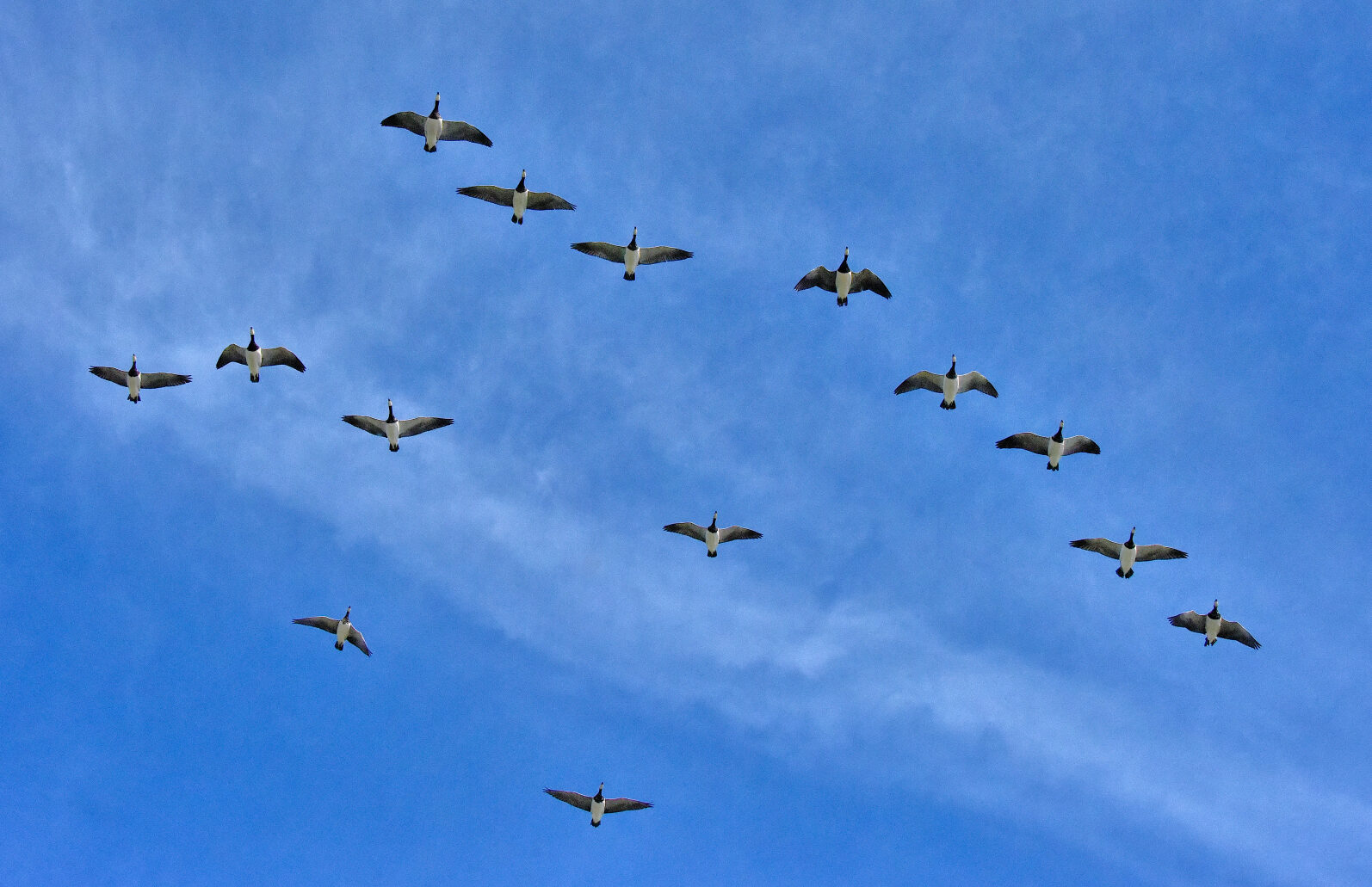 Valokuvaaja: Reijo Juurinen